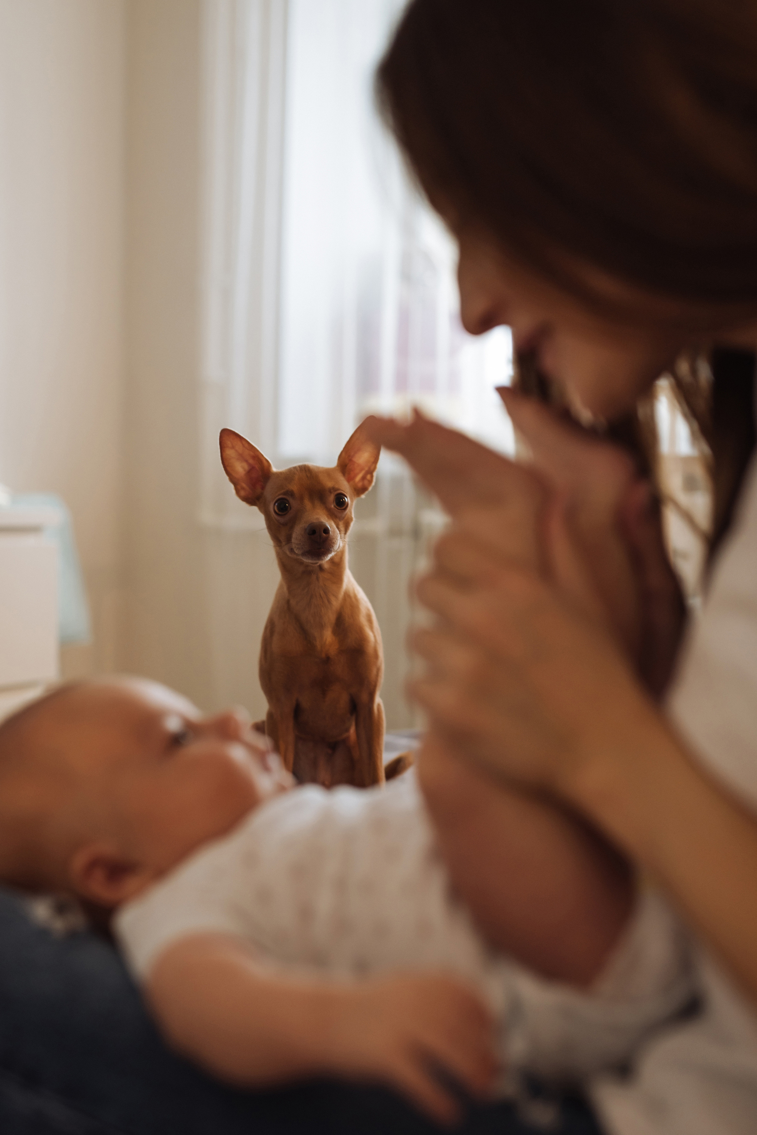 Валерия. Свадебный, портретный, фотограф беременности в Нижнем Новгороде Алина Зиновьева