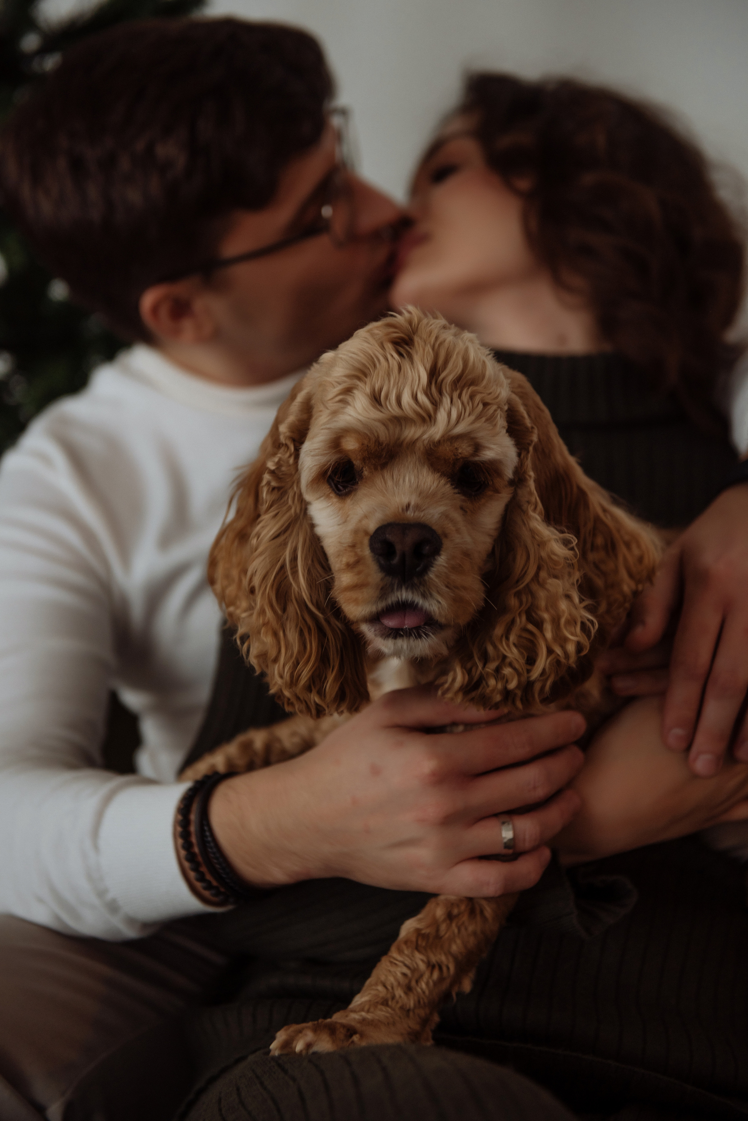 Дарьяна, Рома и Бильбо. Свадебный, портретный, фотограф беременности в Нижнем Новгороде Алина Зиновьева