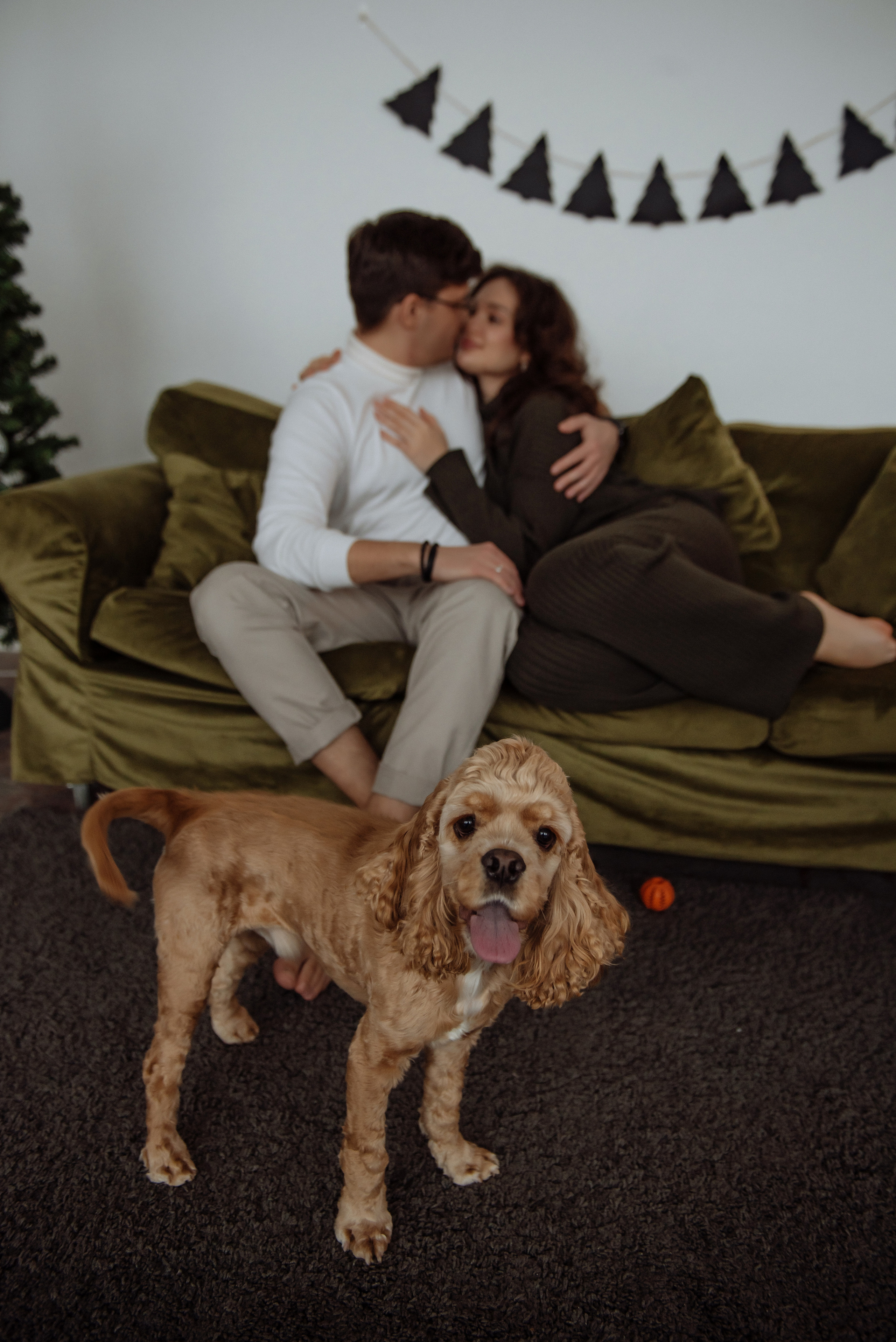 Дарьяна, Рома и Бильбо. Свадебный, портретный, фотограф беременности в Нижнем Новгороде Алина Зиновьева