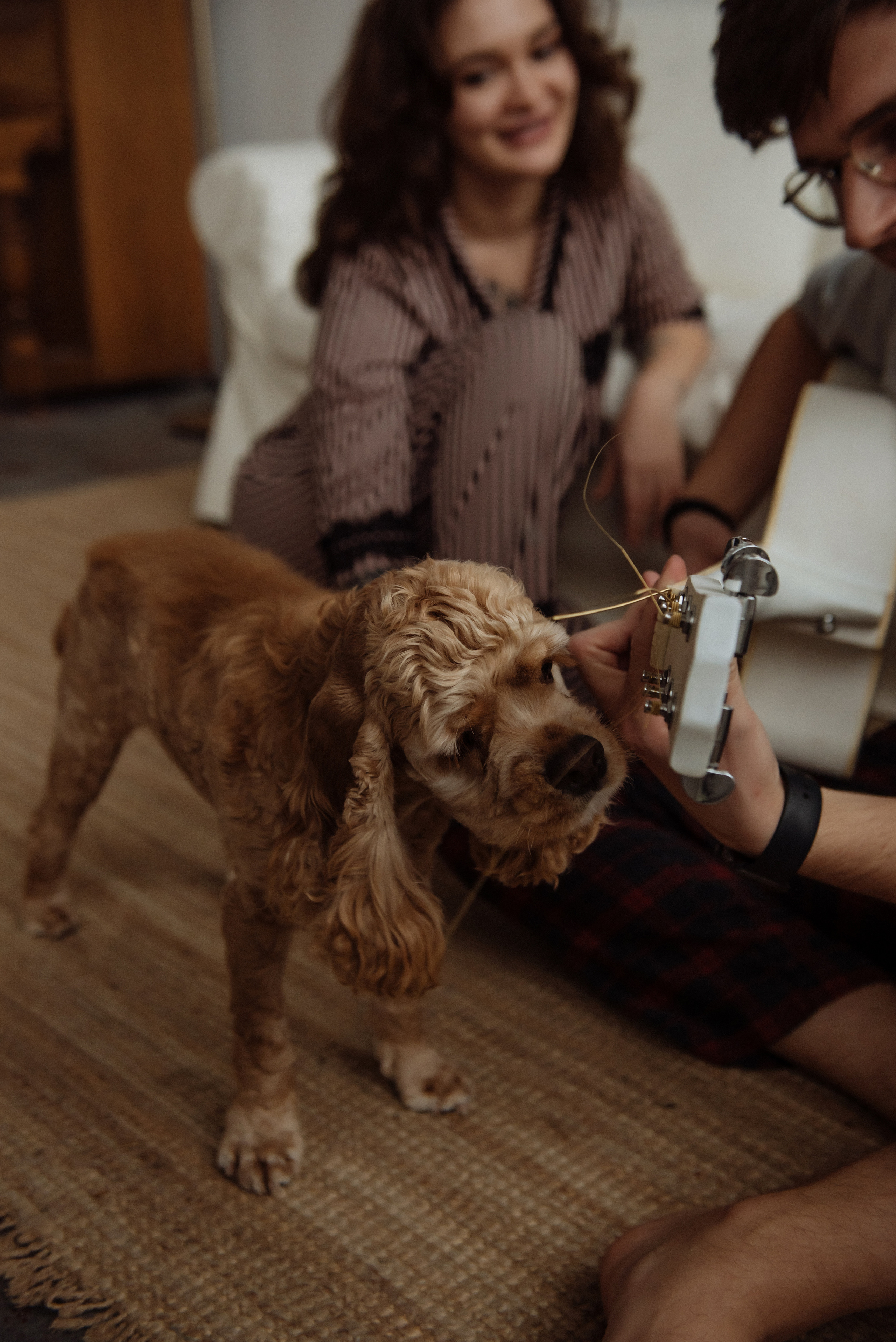 Дарьяна, Рома и Бильбо. Свадебный, портретный, фотограф беременности в Нижнем Новгороде Алина Зиновьева
