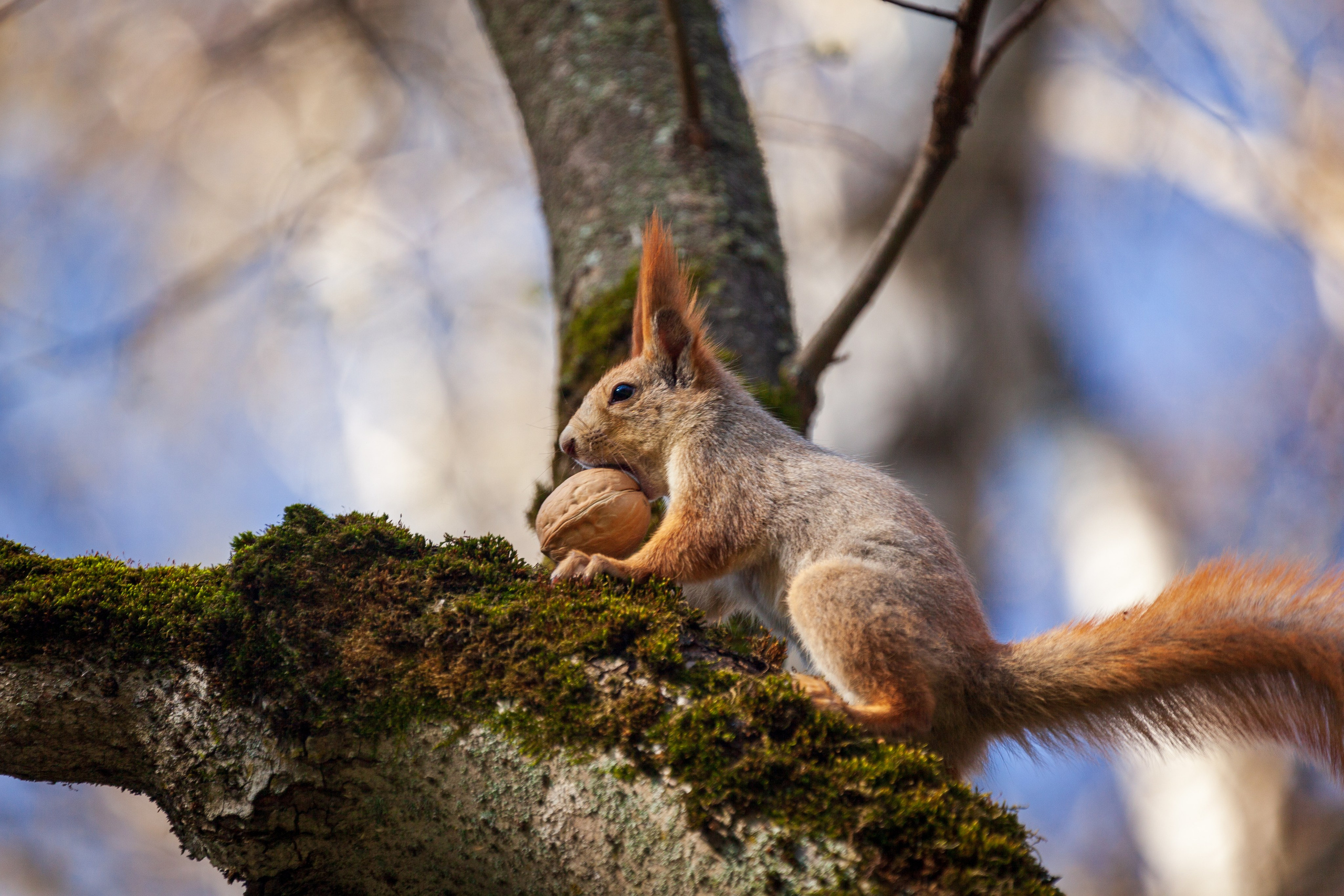 Весеннее настроение. Фотохудожник Артём Парамонов