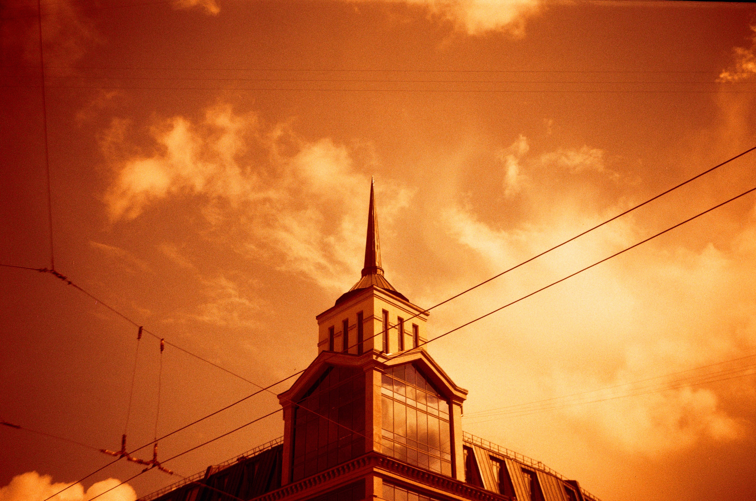 Redscale. Варвара Цымбал