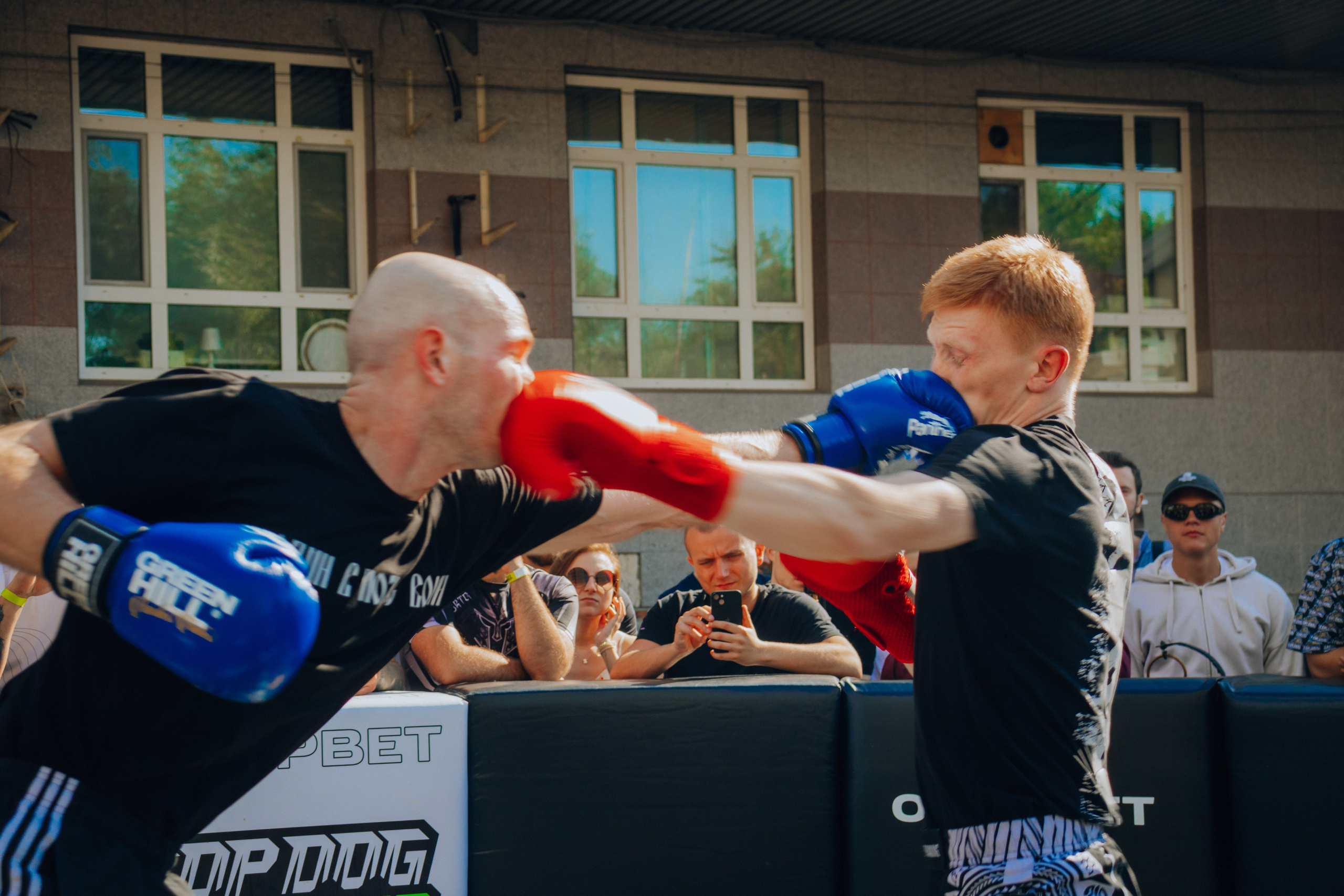 Открытый ринг. Анастасия Тен