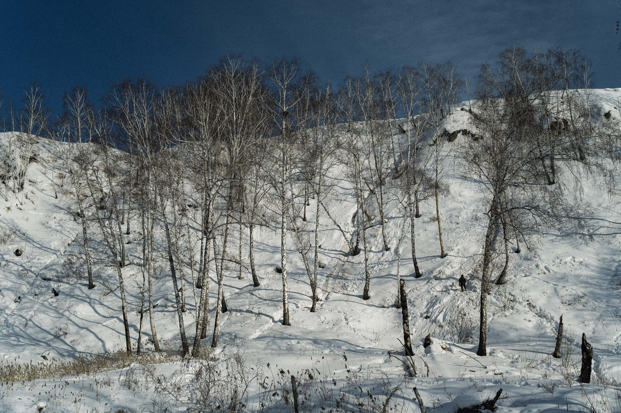 Зимний поход. Евгений Нисковских — свадебный и репортажный фотограф в Тюмени
