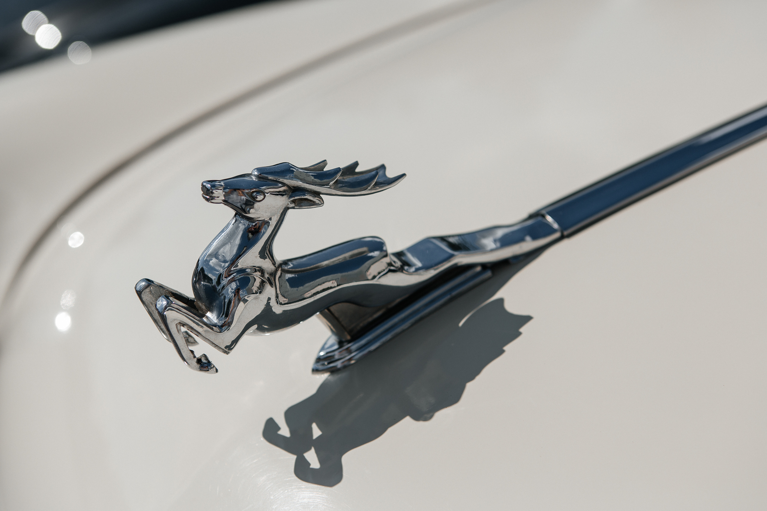 Свадебная фотосессия в усадьбе Архангельское и Голицын Клуб. Свадебный фотограф в Москве Дарья Олендарёва