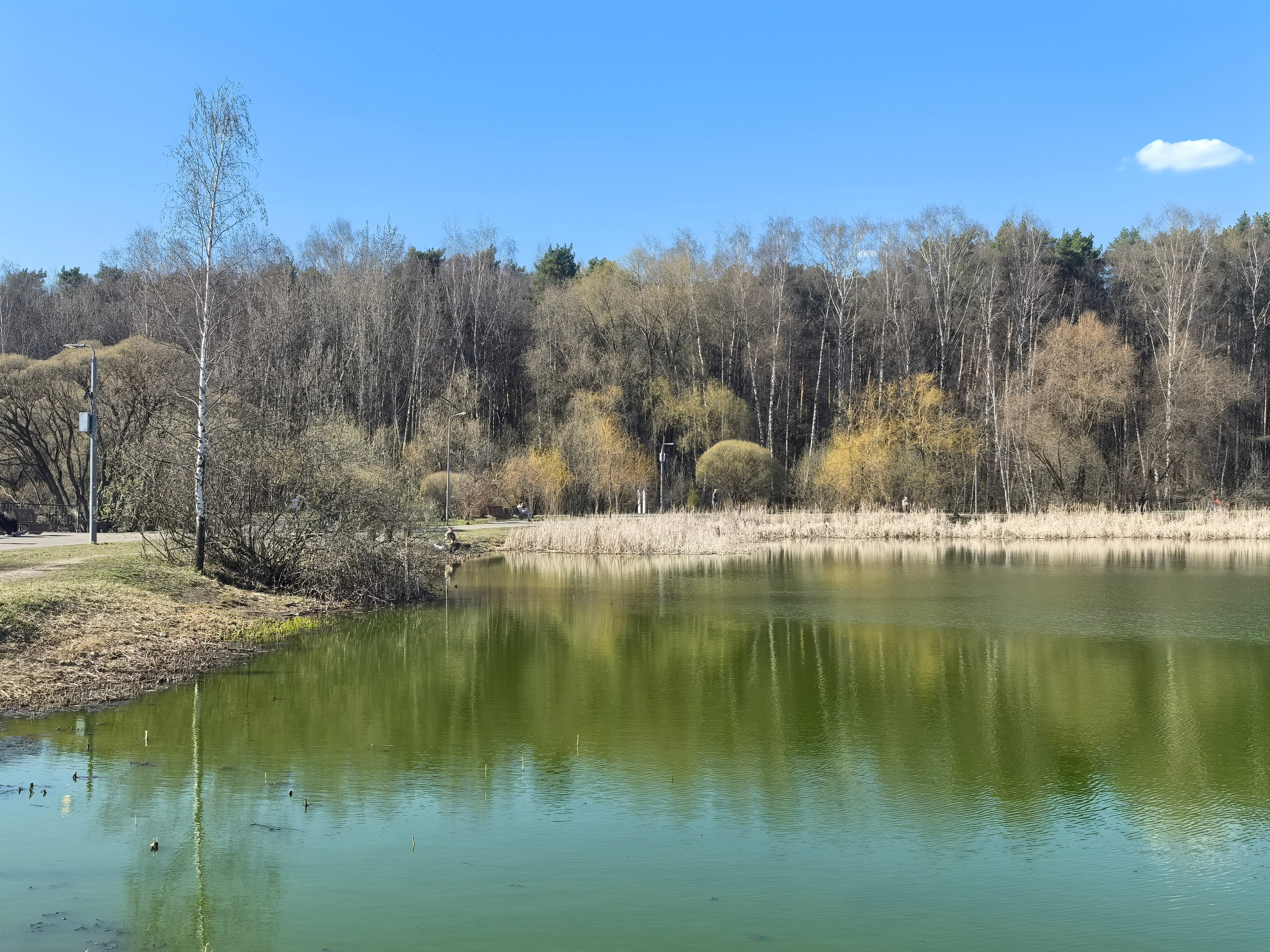Покровско-Стрешнево. Школьные выпускные альбомы в Москве Марина Николаева