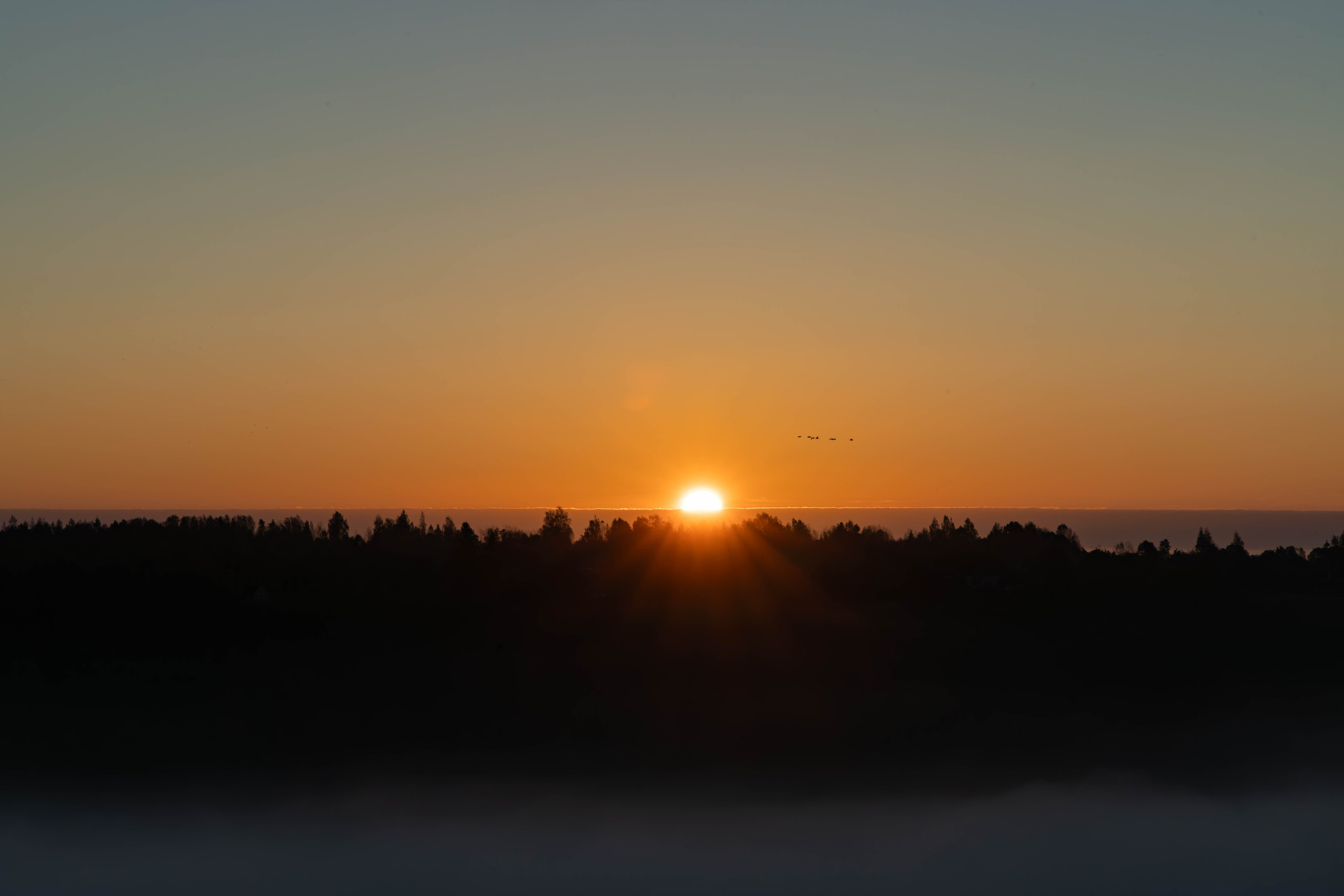 Архитектура и пейзажи. Главная