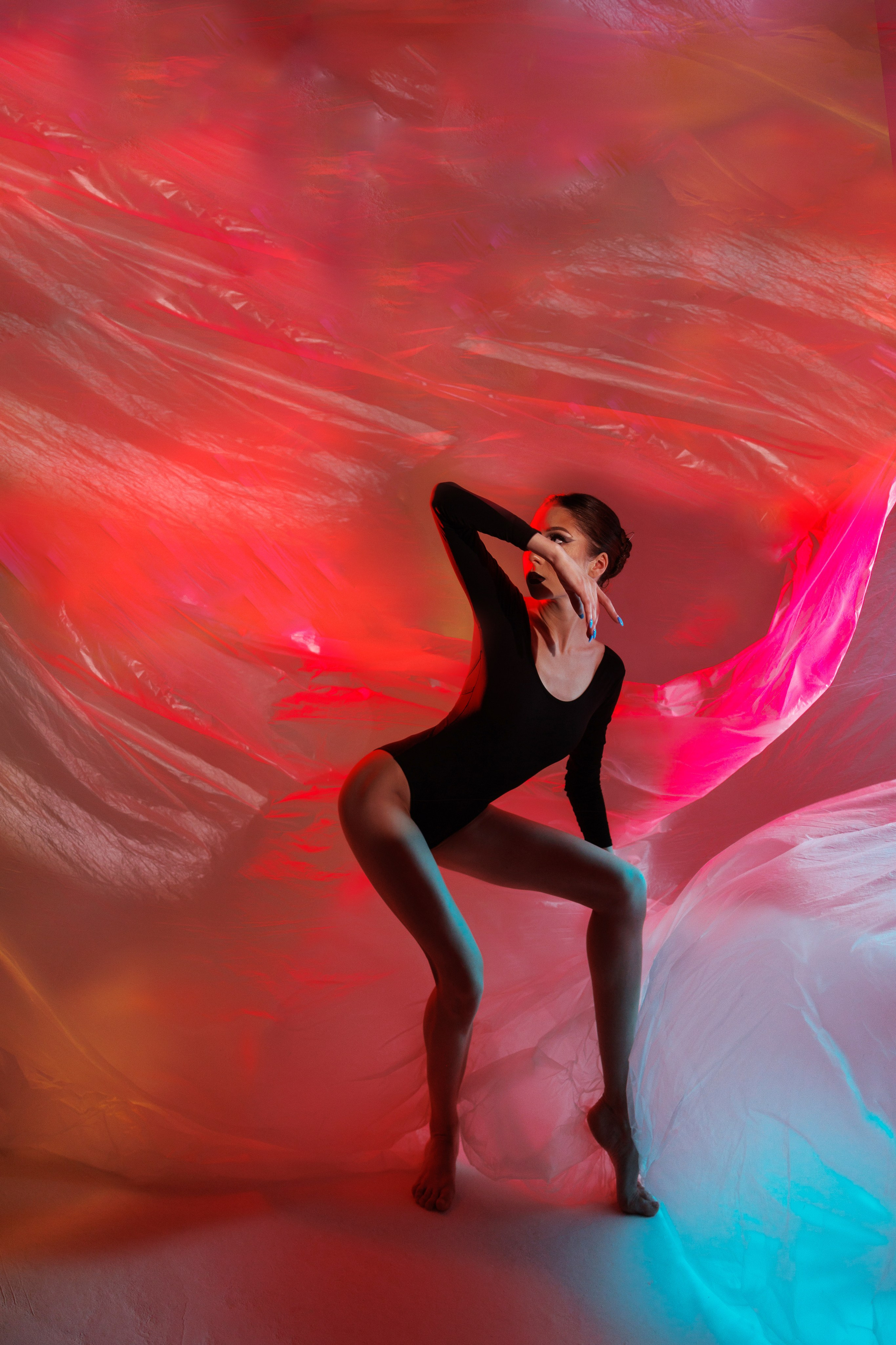 Черный лебедь. Марковкина КрисТина