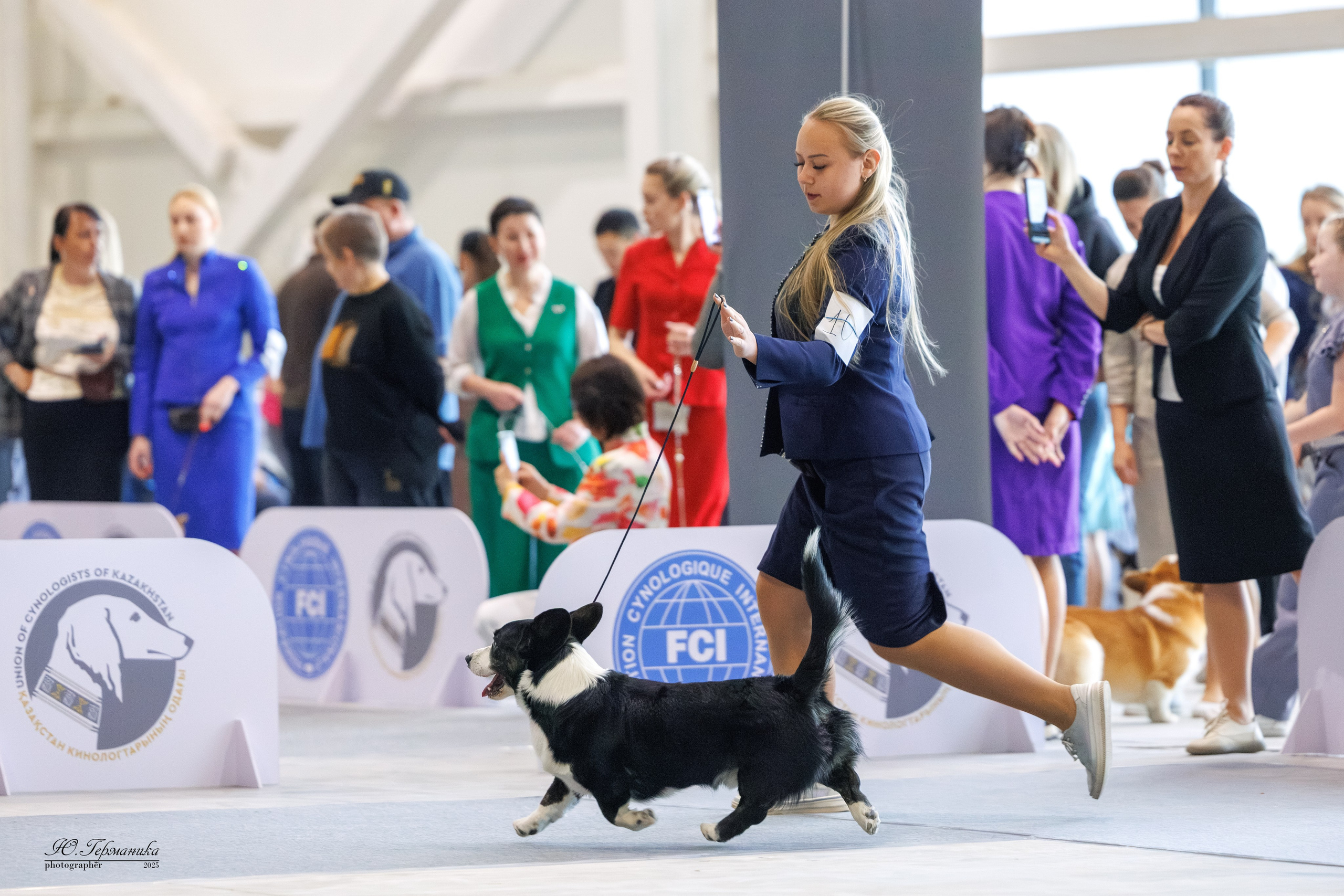 Астана 2хCACIB 3-4.05.2025. Фотограф-анималист Юлия Германика