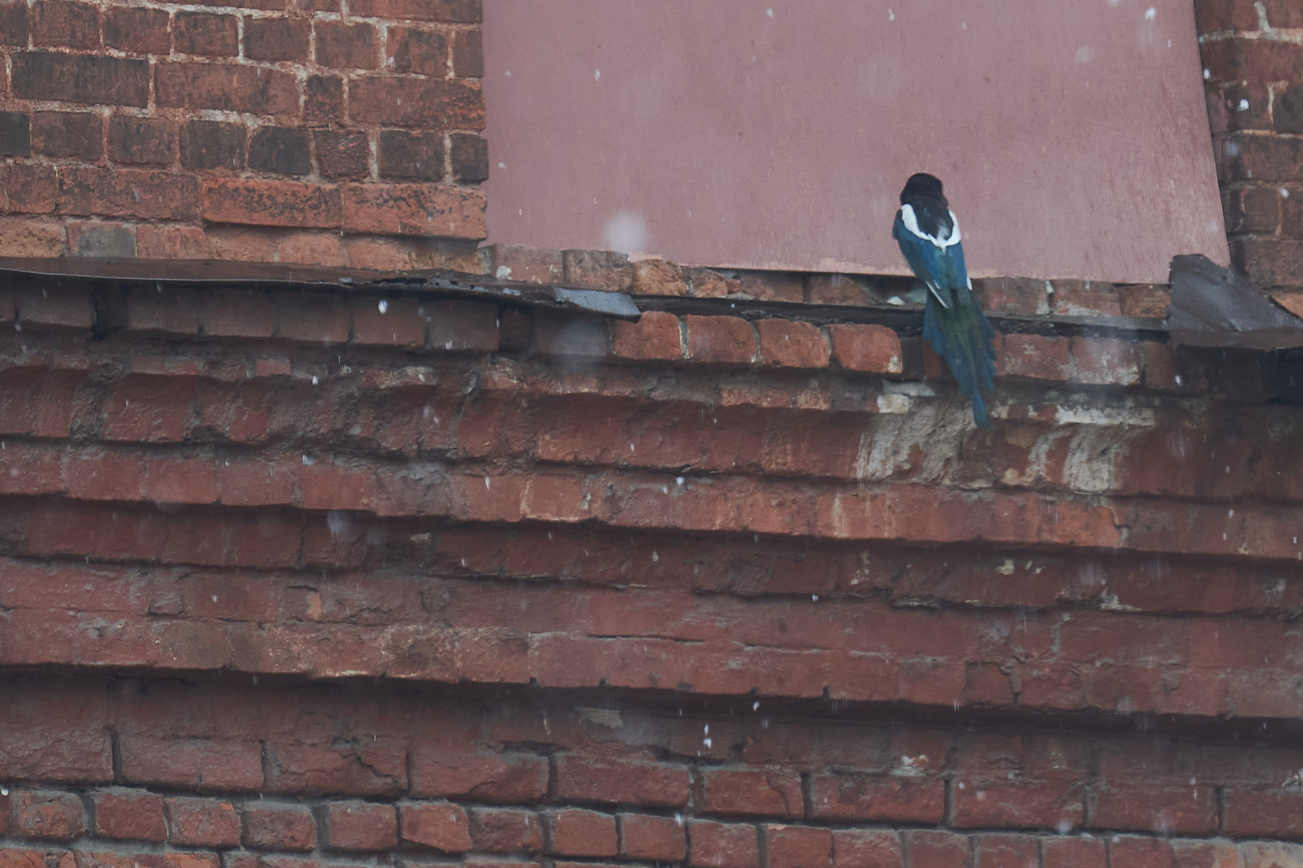 20210316-18 Тула. Дмитрий Ремизов. Фотография, как хобби