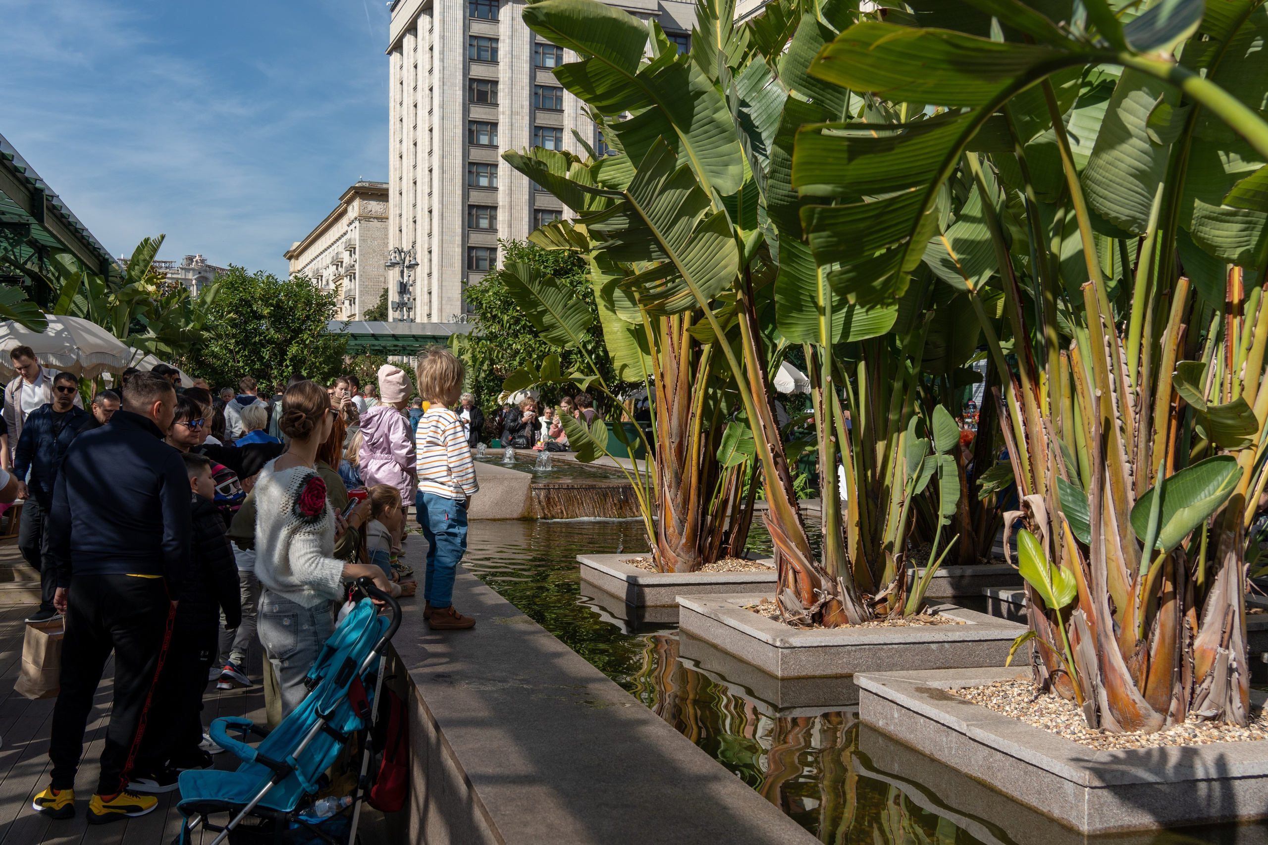 20250913 Новокузнецкая — Охотный ряд. Дмитрий Ремизов. Фотография, как хобби
