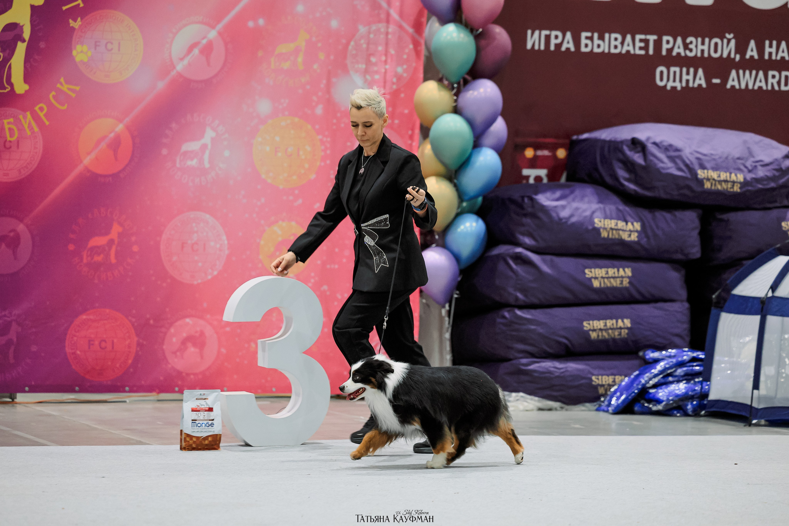 28-29.03.2026 Рейтинговая выставка в Новосибирске. Фотограф Анималист из Новосибирска Татьяна Кауфман