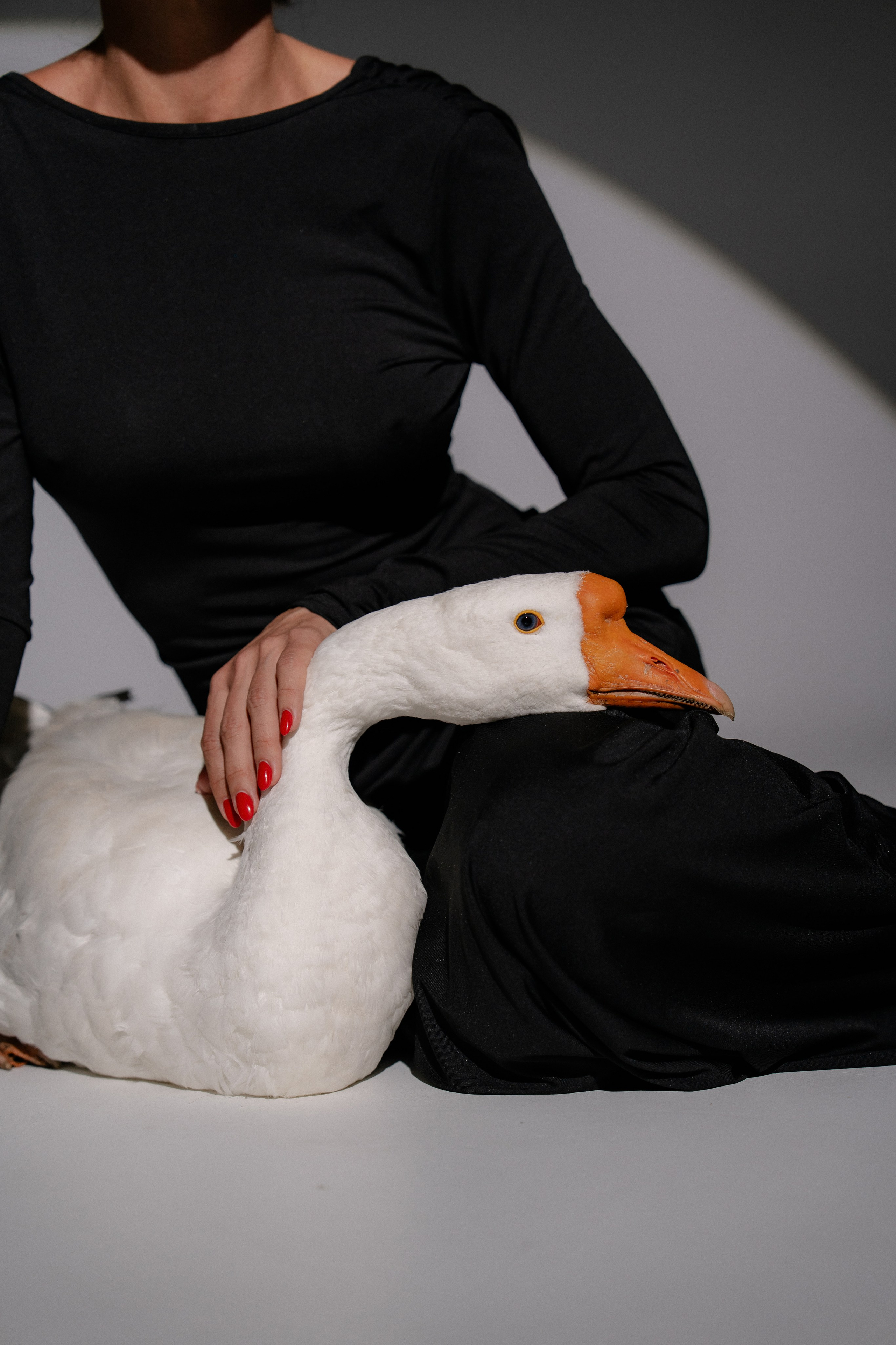 Юля и Гусь. Фотограф на мероприятие