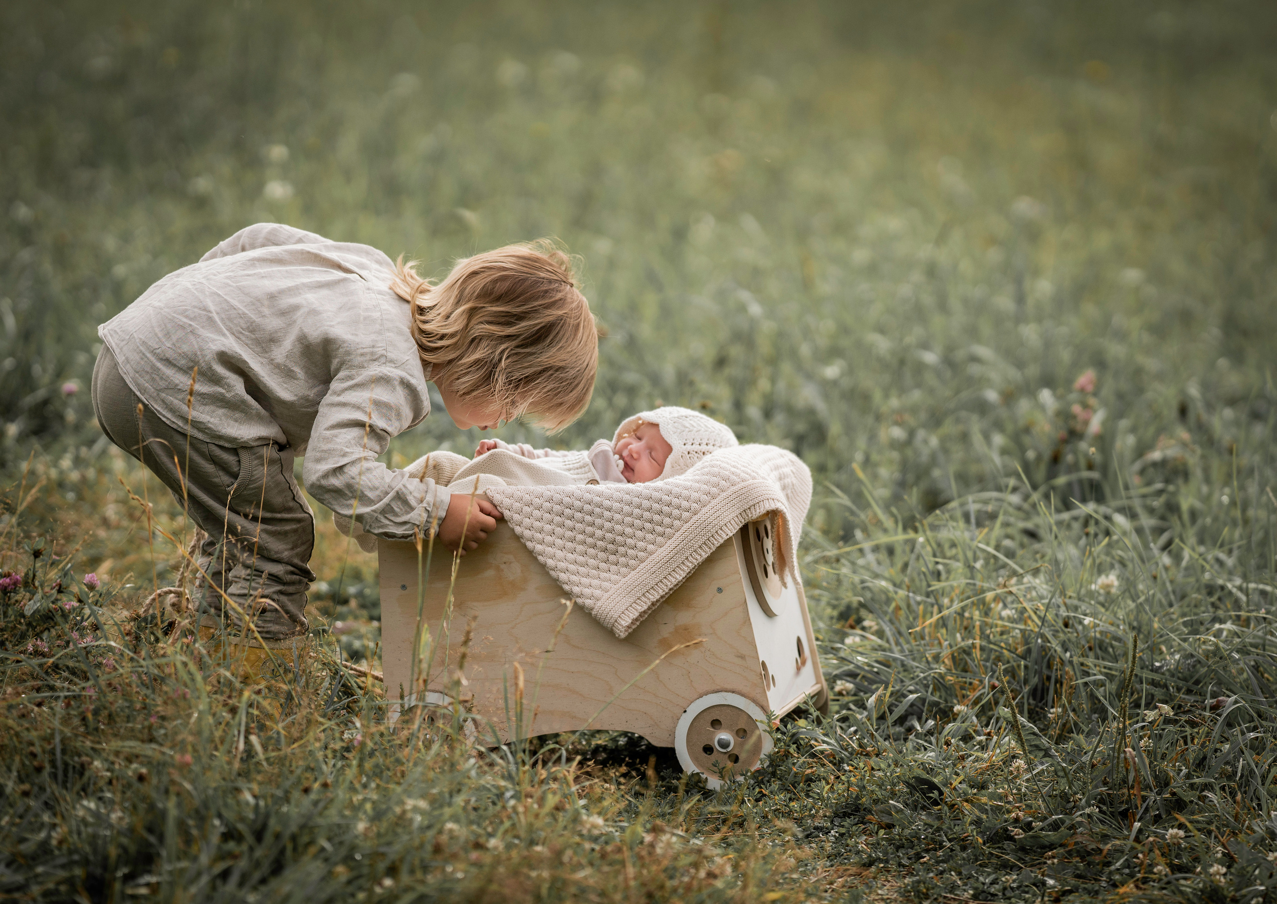 Марфины ромашки. Семейный фотограф Ефремова Виктория