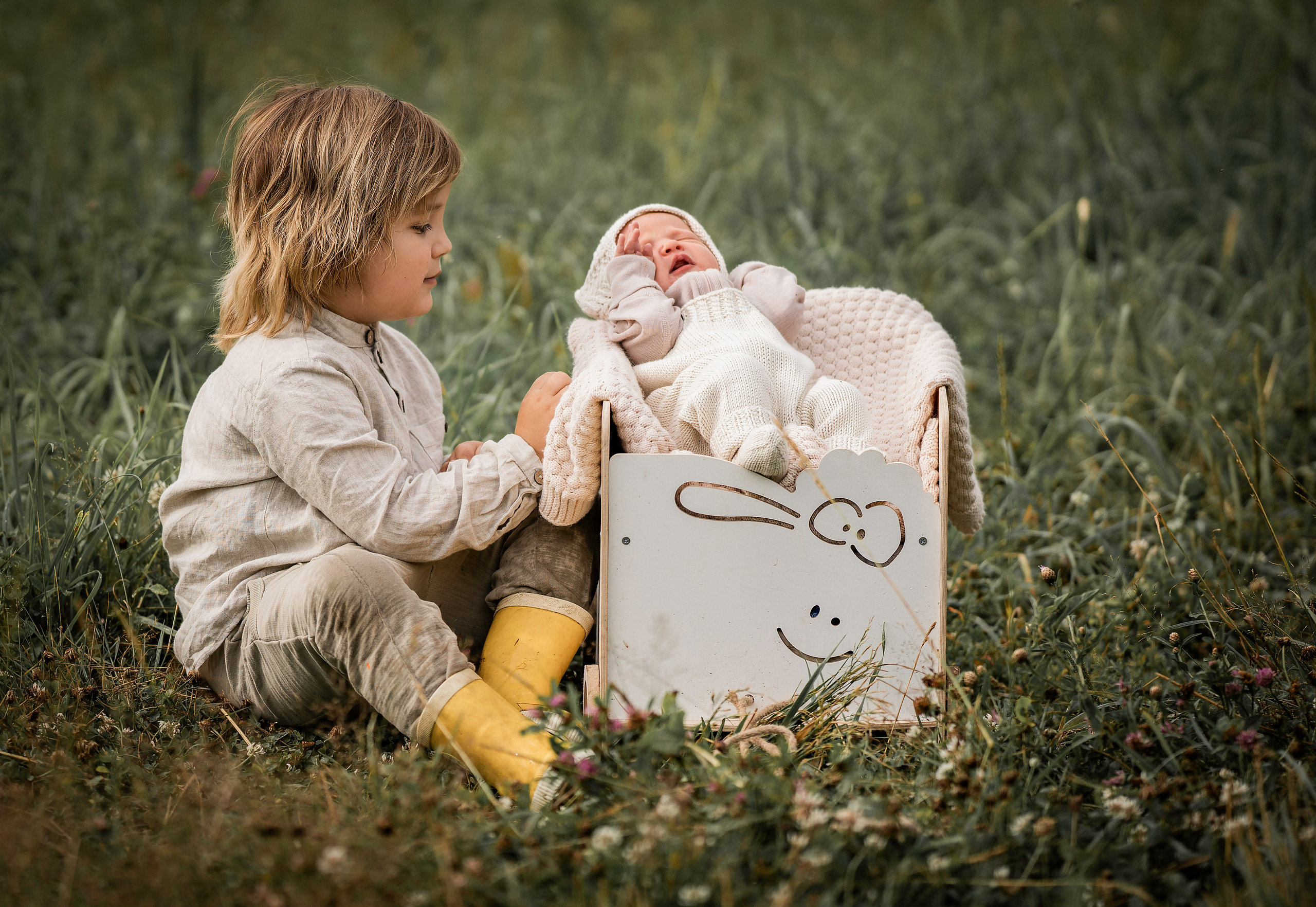 Марфины ромашки. Семейный фотограф Ефремова Виктория