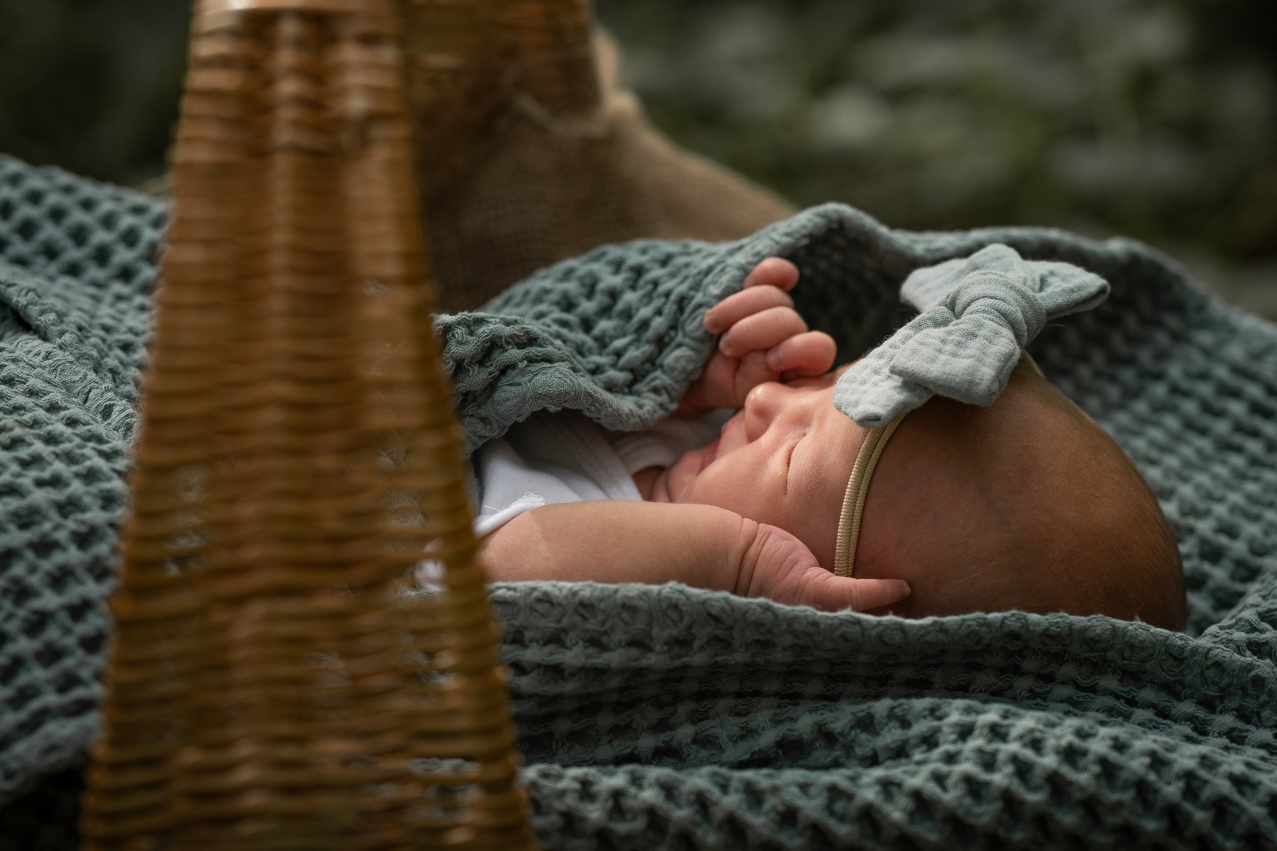 Марфа. Семейный фотограф Ефремова Виктория