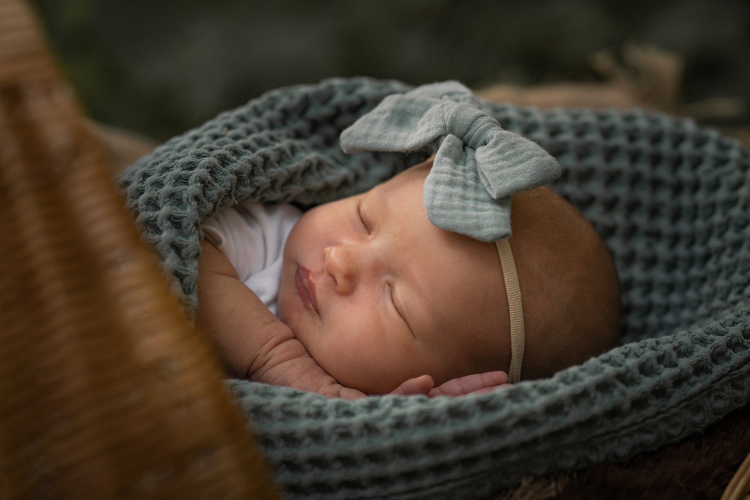 Марфа. Семейный фотограф Ефремова Виктория