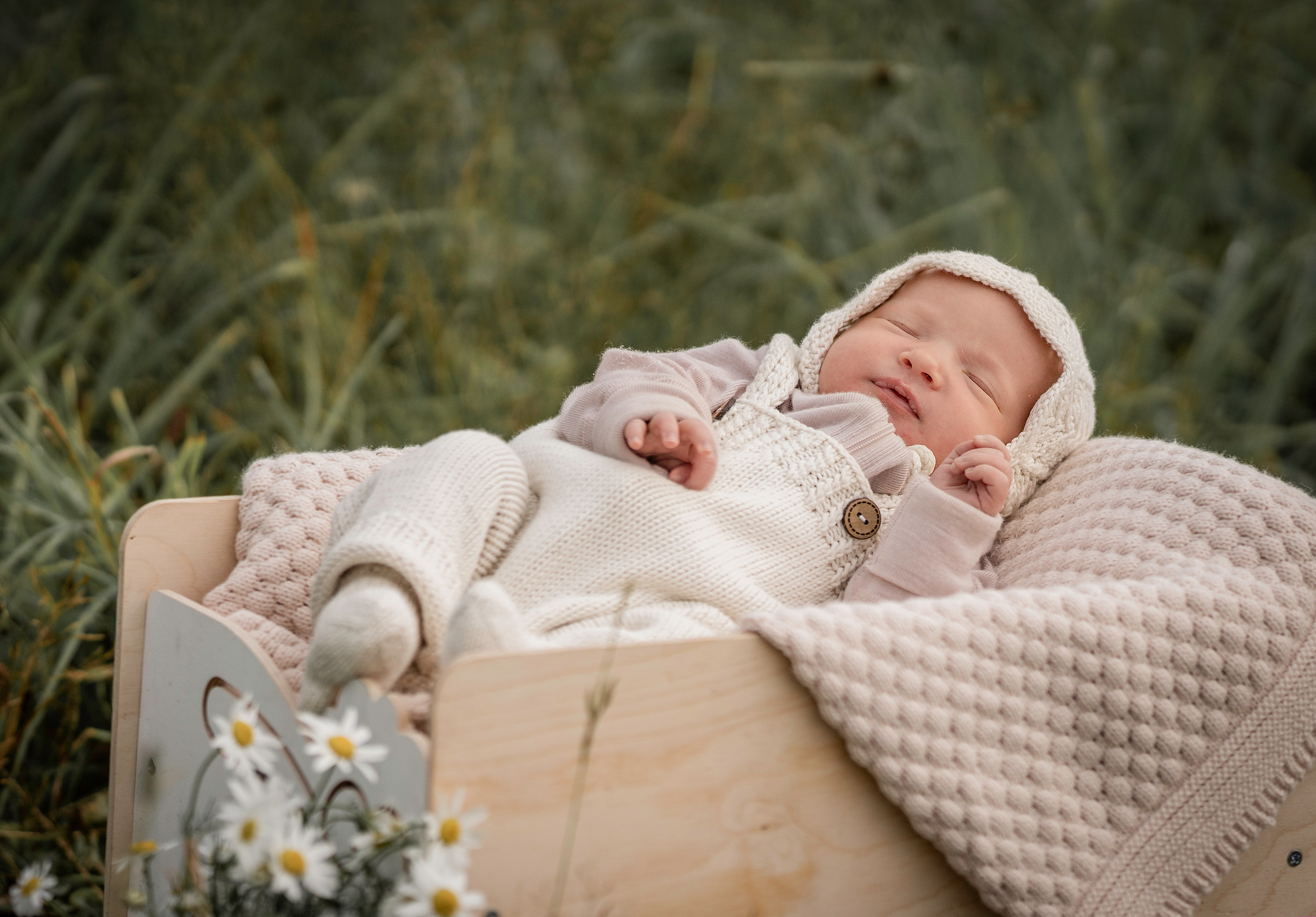 Марфины ромашки. Семейный фотограф Ефремова Виктория
