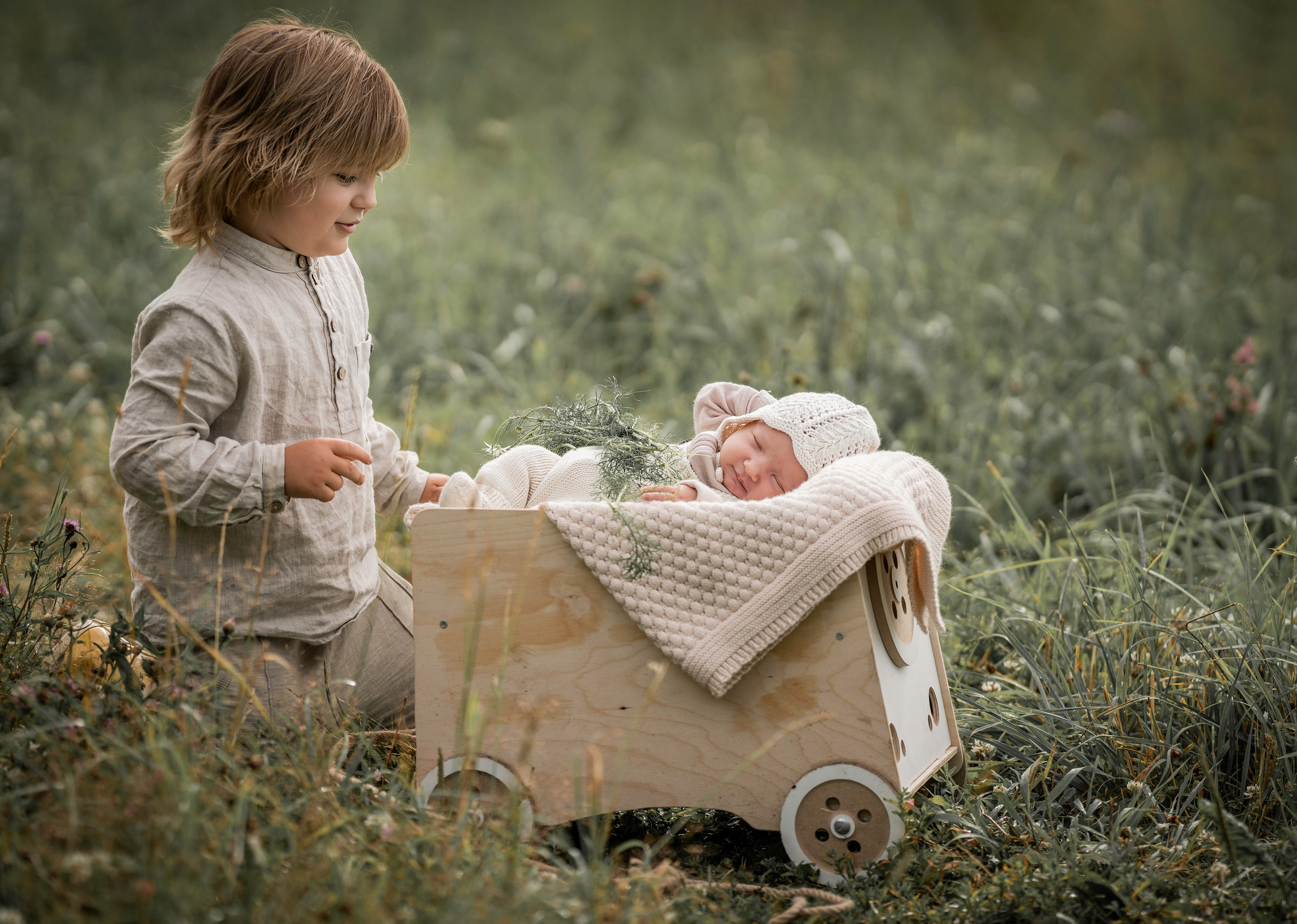 Марфины ромашки. Семейный фотограф Ефремова Виктория