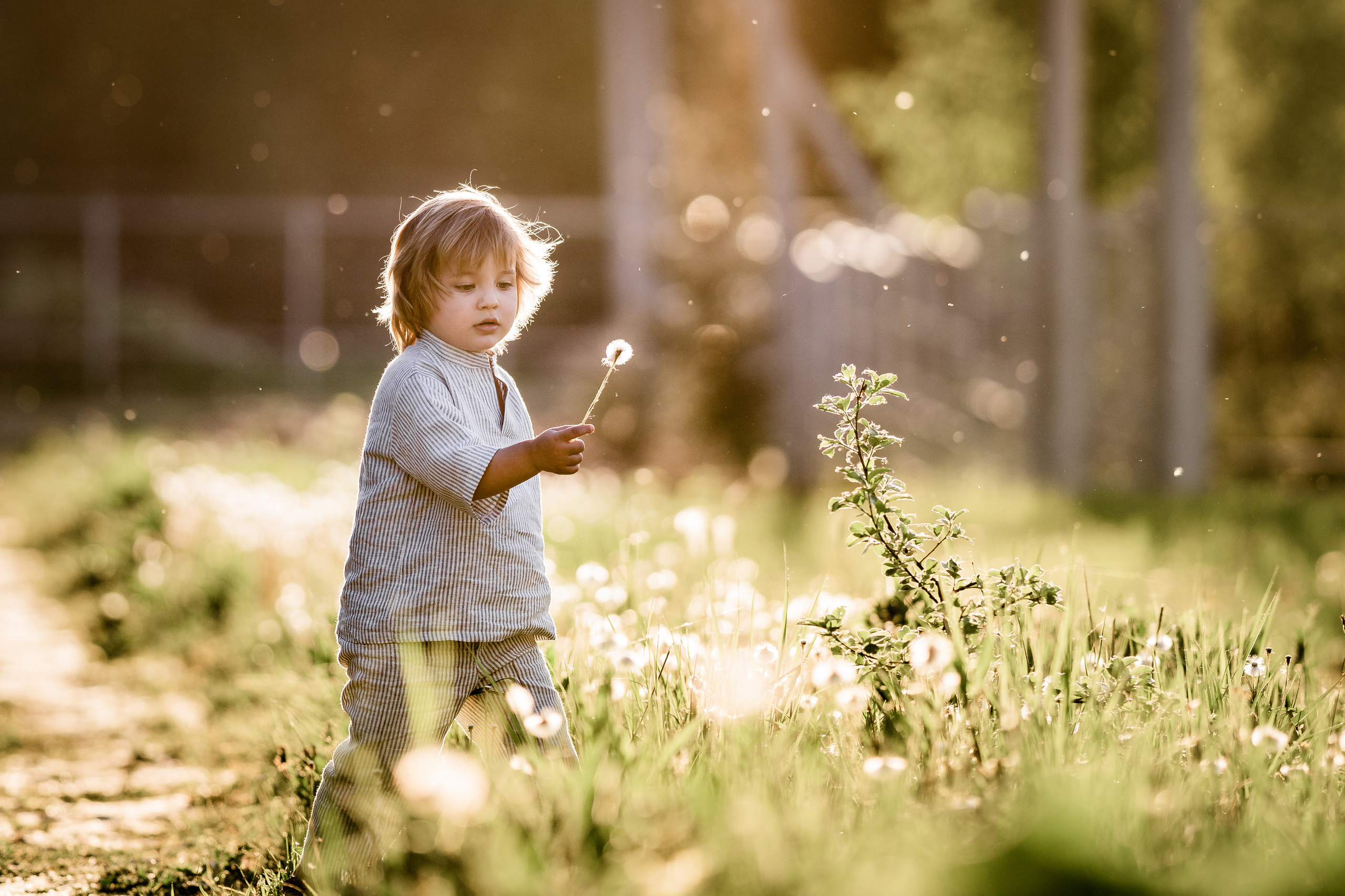Лето 2022, Савелий. Семейный фотограф Ефремова Виктория