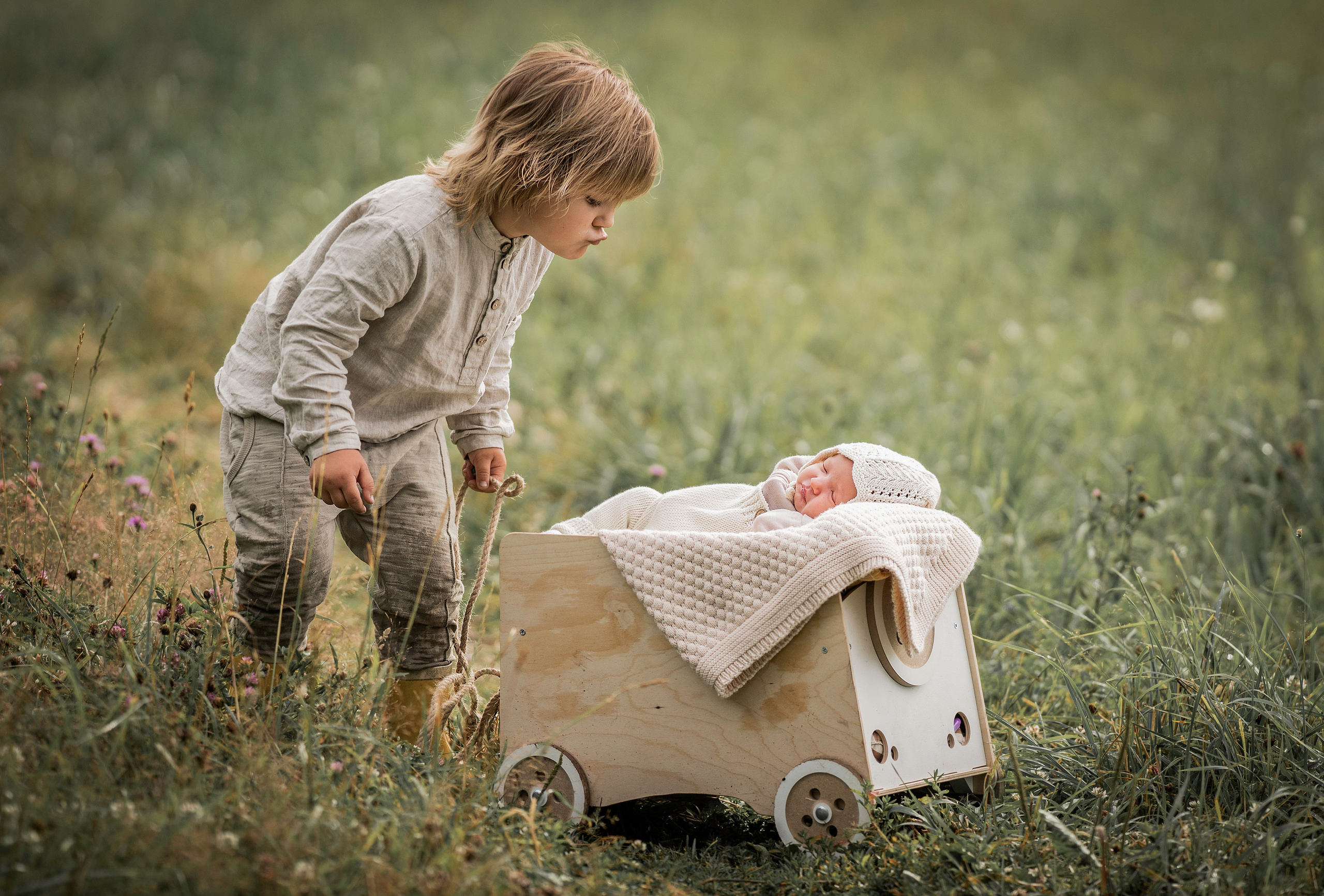 Марфины ромашки. Семейный фотограф Ефремова Виктория