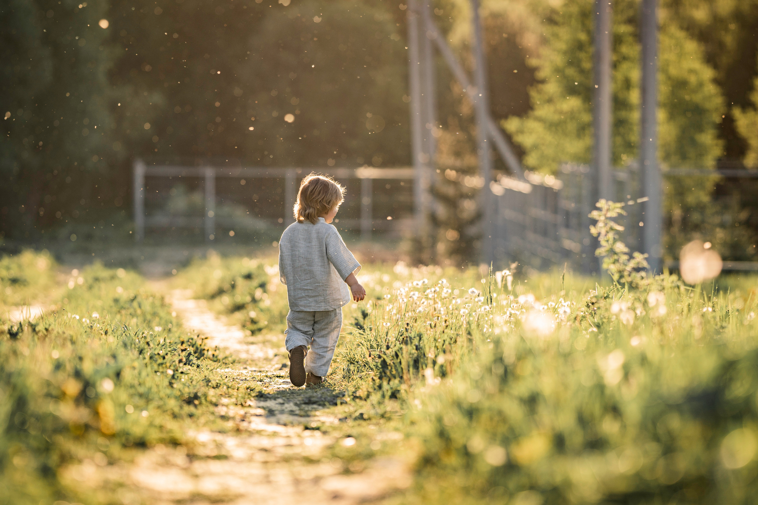 Лето 2022, Савелий. Семейный фотограф Ефремова Виктория