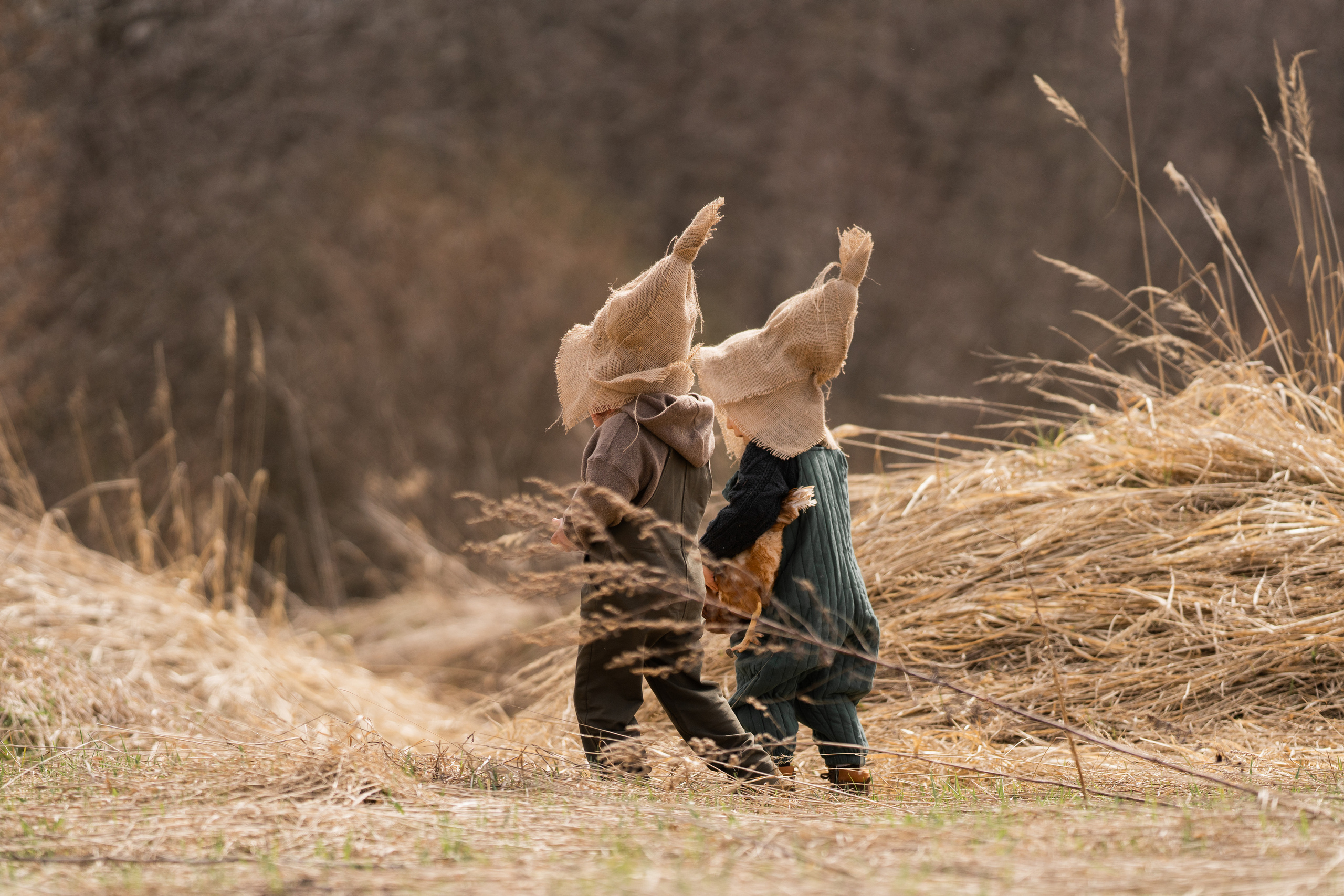 Сельская история. Семейный фотограф Ефремова Виктория