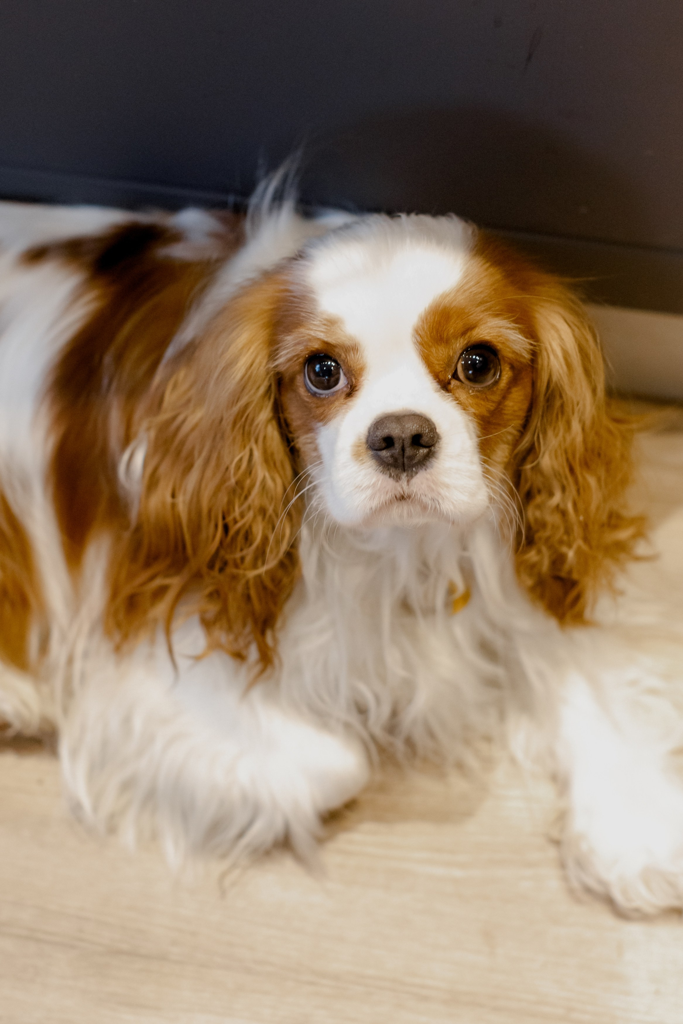 New year session. Destination wedding photographer Mary Korenchuk