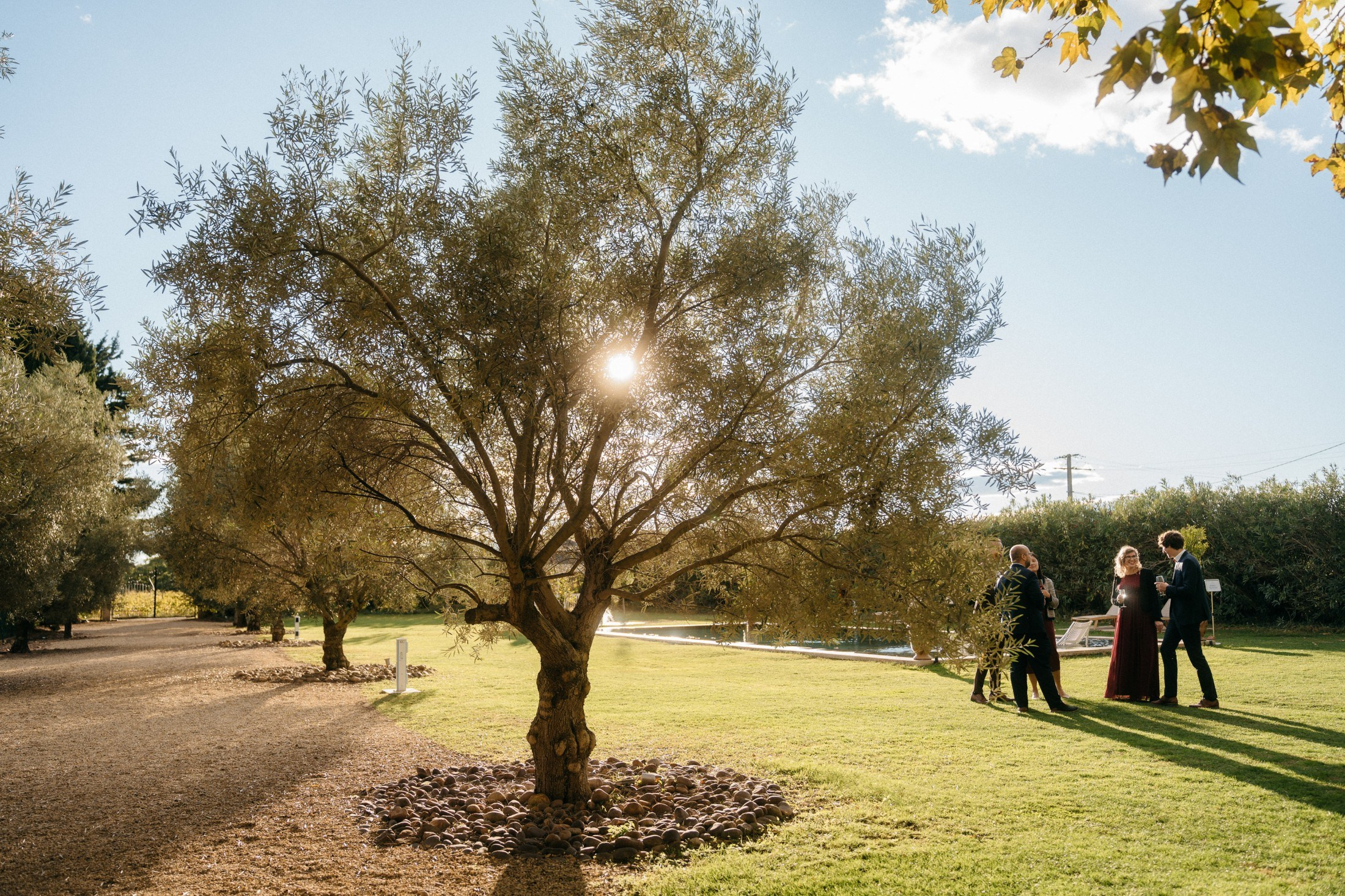 Provence & Promises. Wedding photograper — Alex Popov photography Germany, Switzerland, Italy, France. Based in Stuttgart