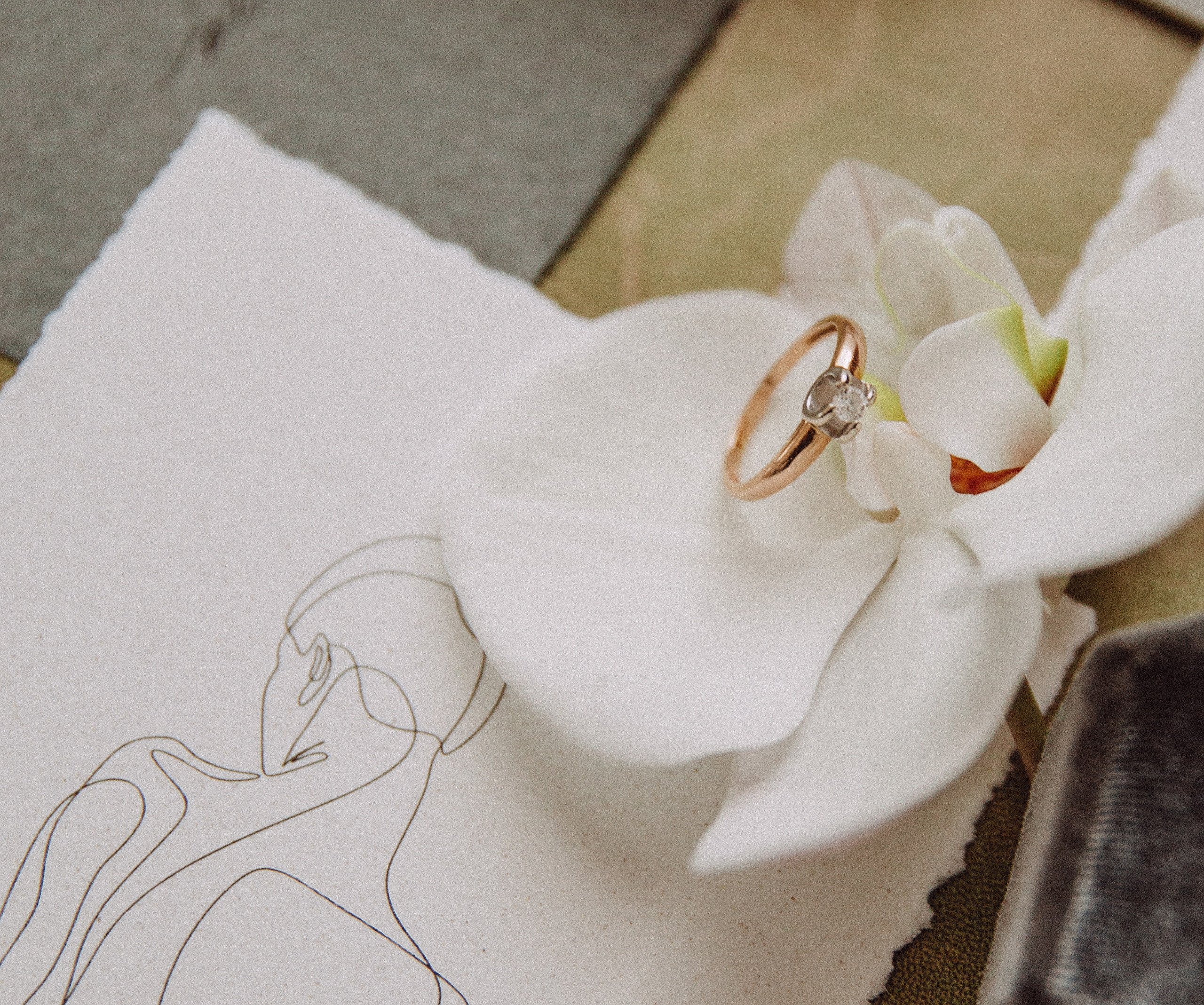 Алина & Антон. Фотограф в Краснодаре и Краснодарском крае