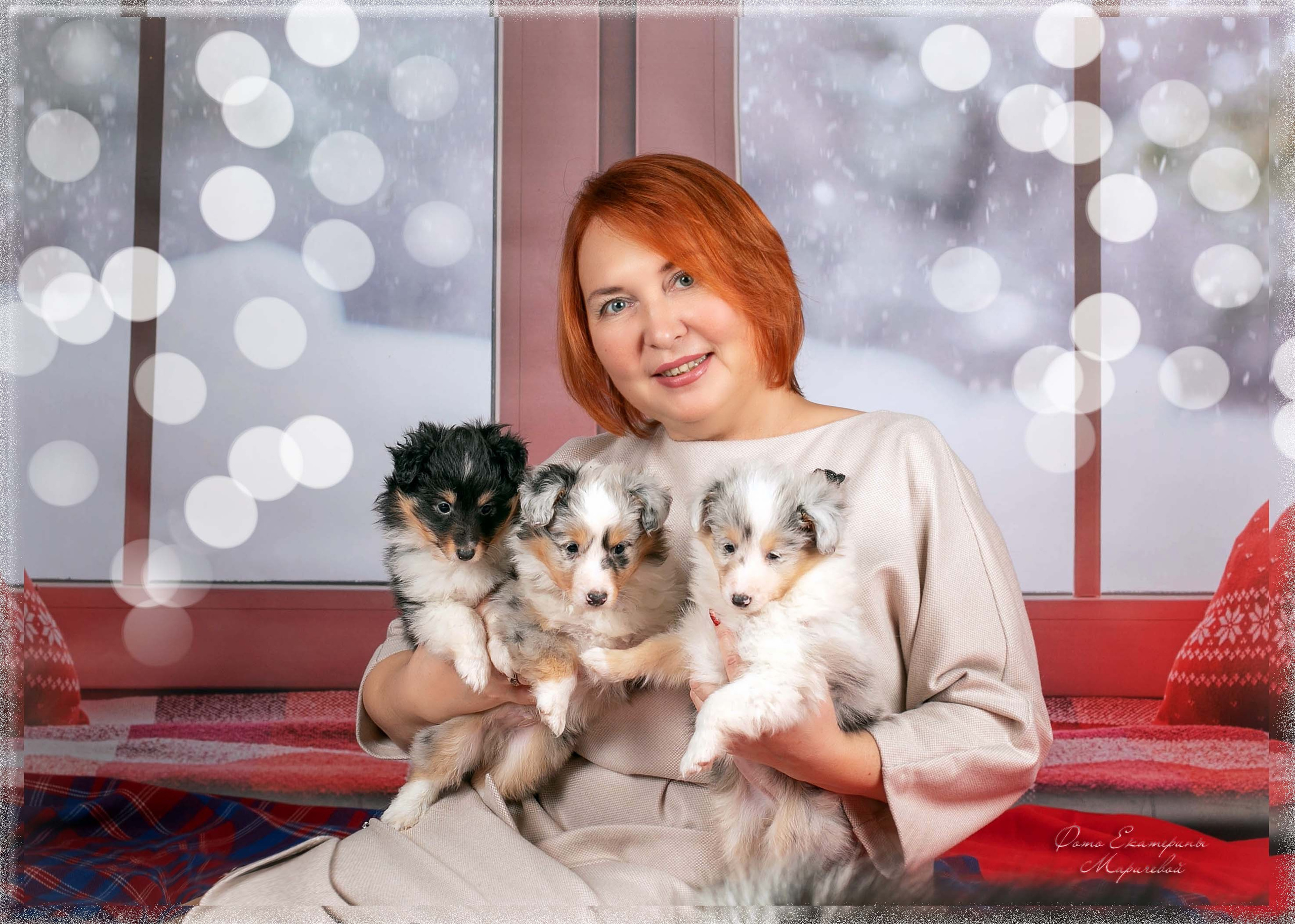 Тематические фоны с рисунком. Фотограф-анималист в Омске Екатерина Маричева