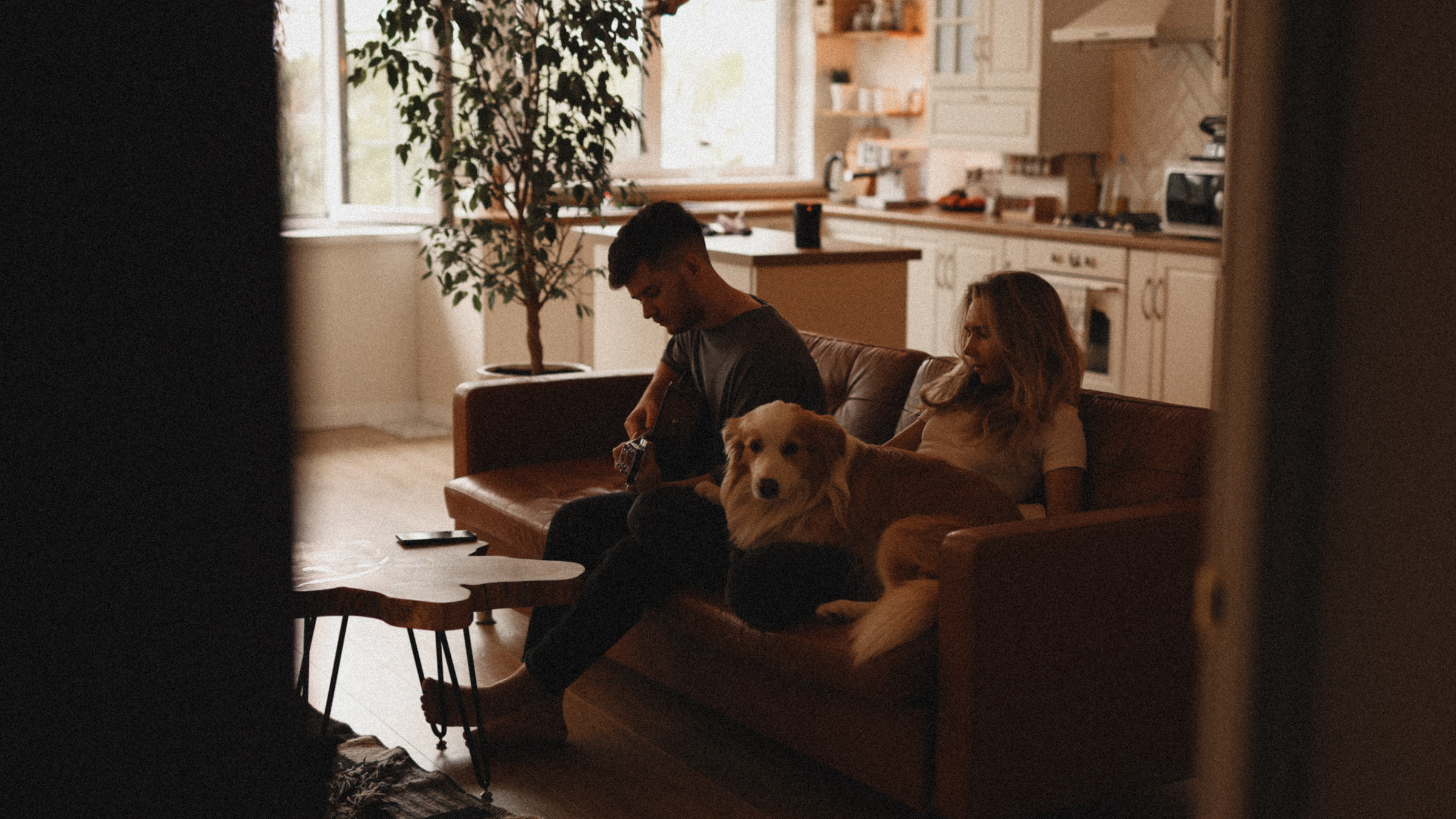 Stopani. Свадебный фотограф в Ярославле Илья Жуков