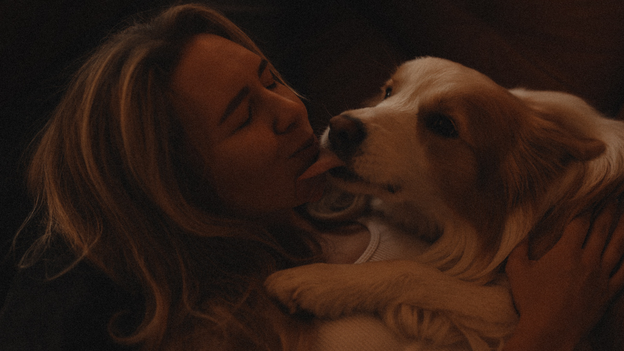 Stopani. Свадебный фотограф в Ярославле Илья Жуков