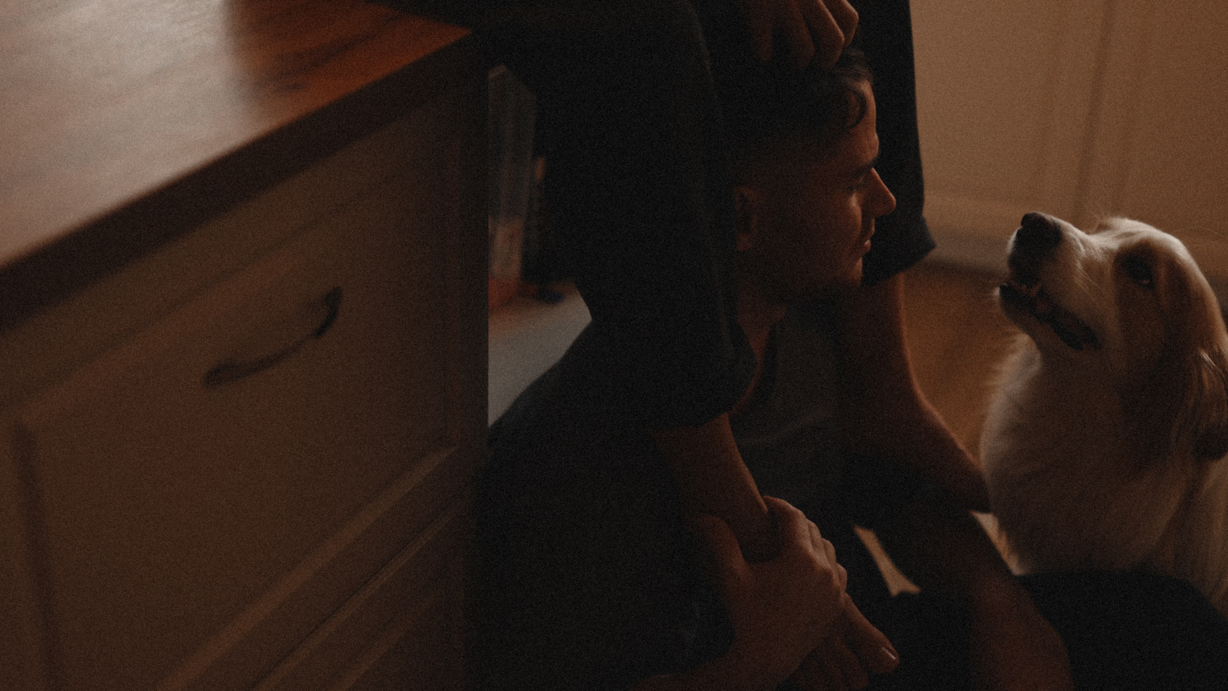 Stopani. Свадебный фотограф в Ярославле Илья Жуков