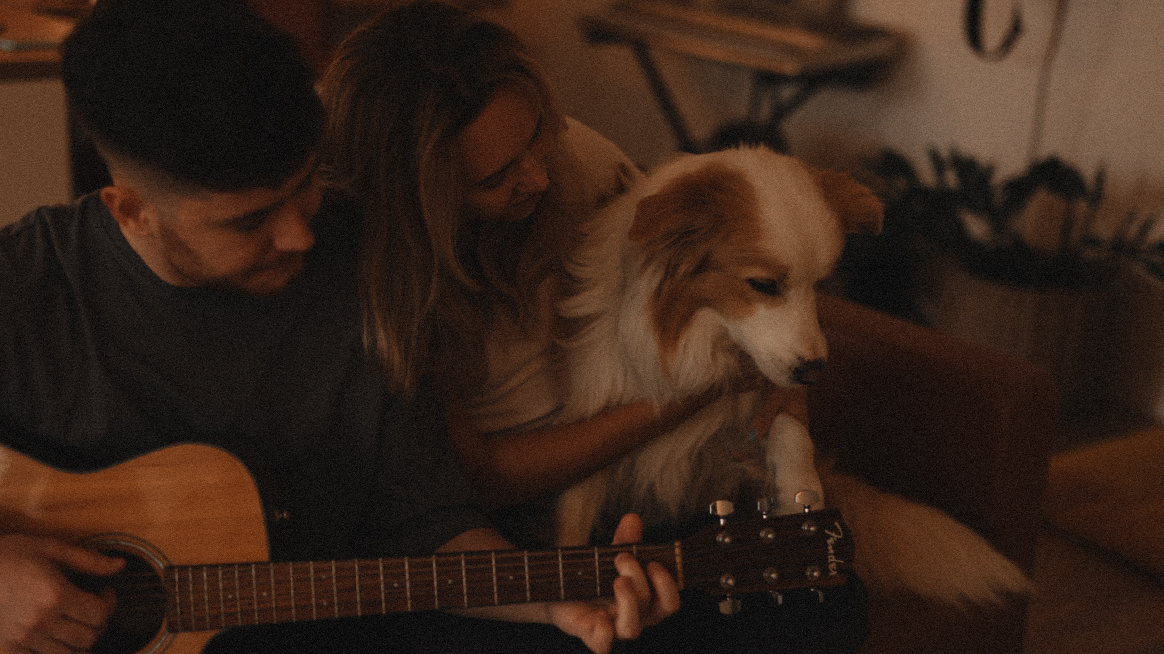 Stopani. Свадебный фотограф в Ярославле Илья Жуков