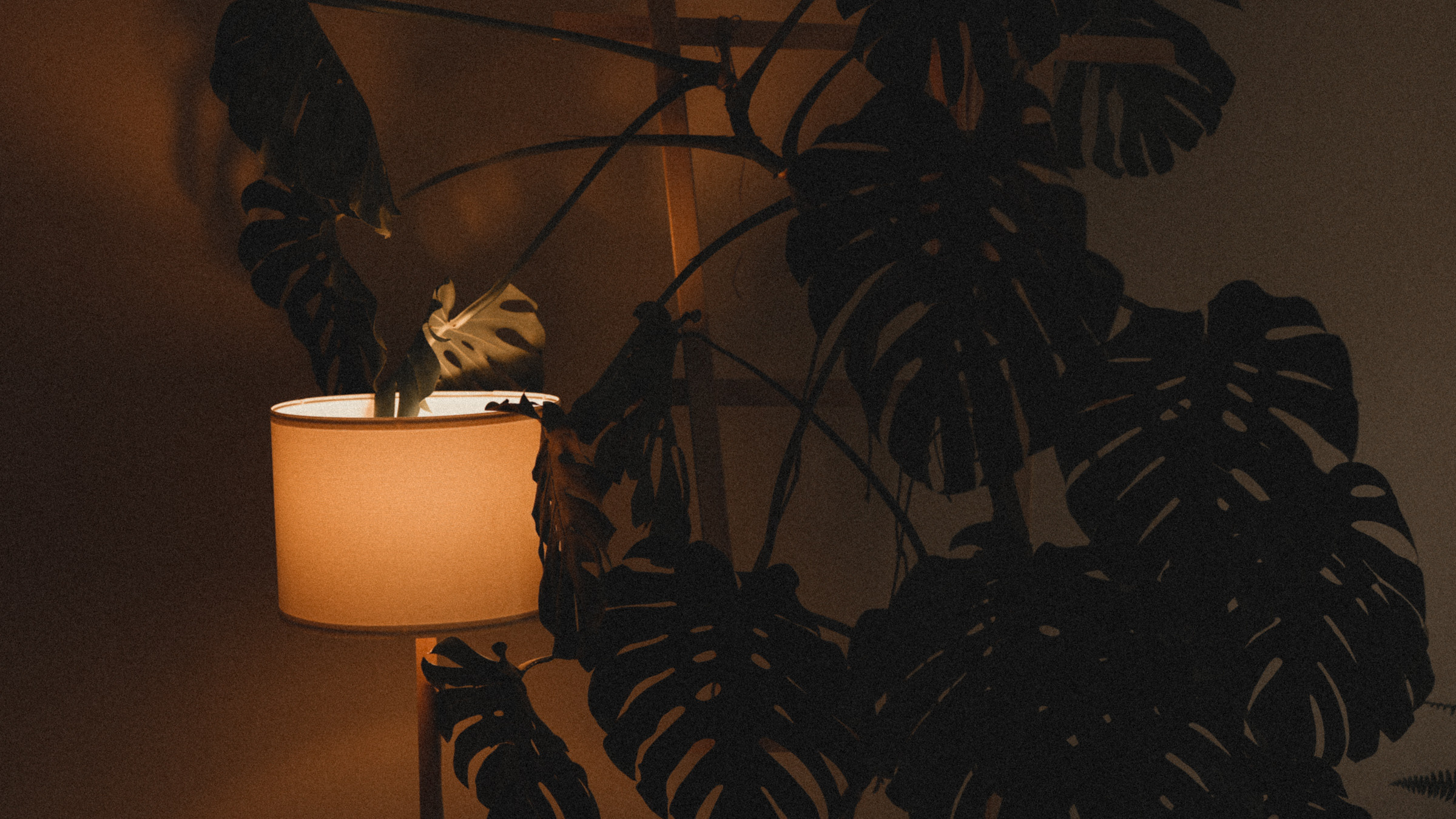 Stopani. Свадебный фотограф в Ярославле Илья Жуков