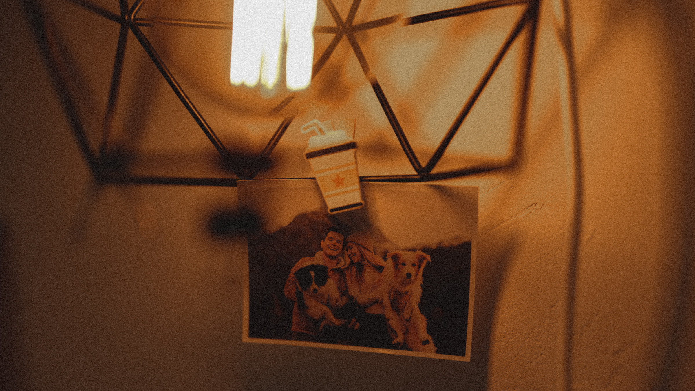 Stopani. Свадебный фотограф в Ярославле Илья Жуков