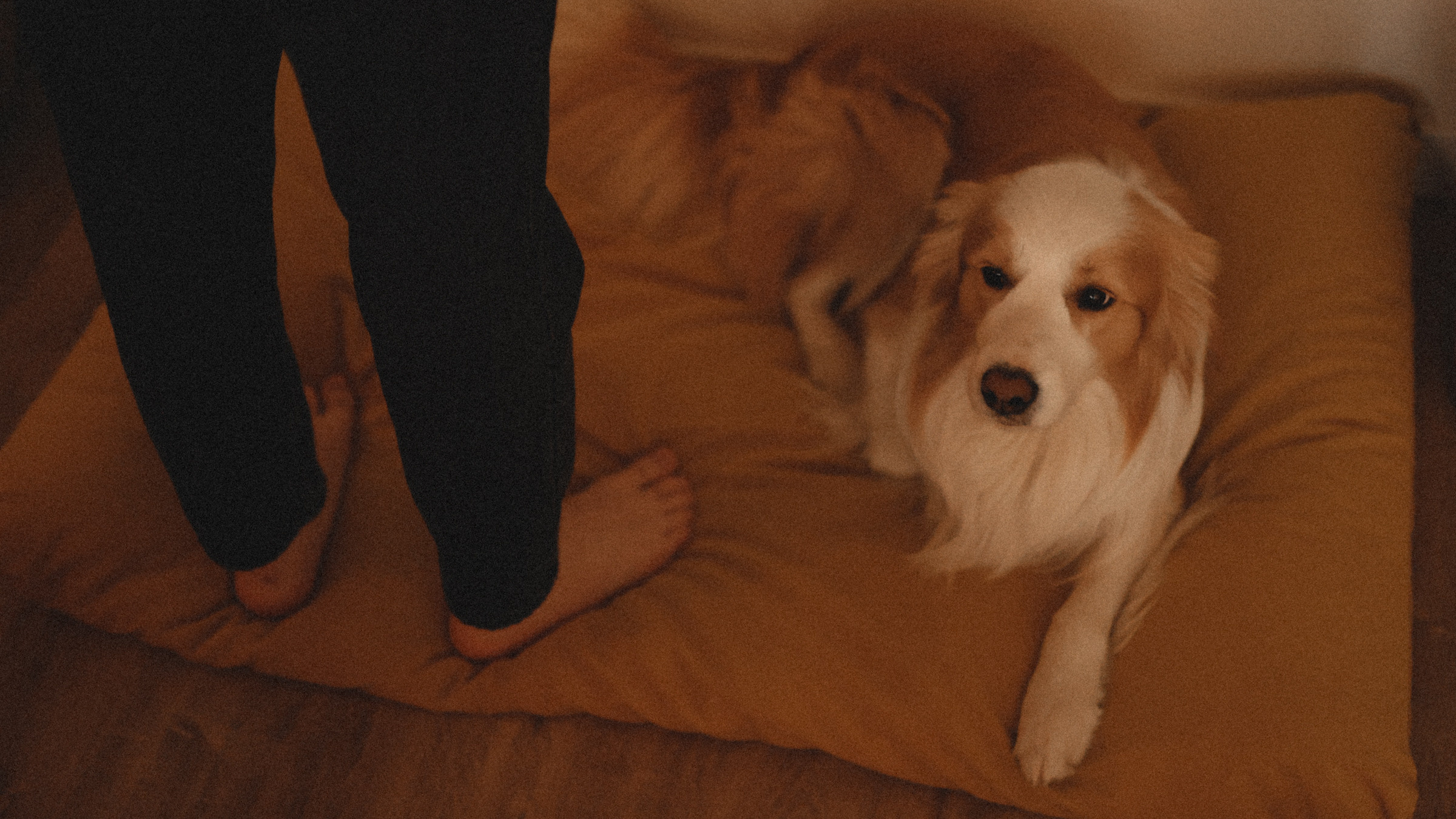 Stopani. Свадебный фотограф в Ярославле Илья Жуков