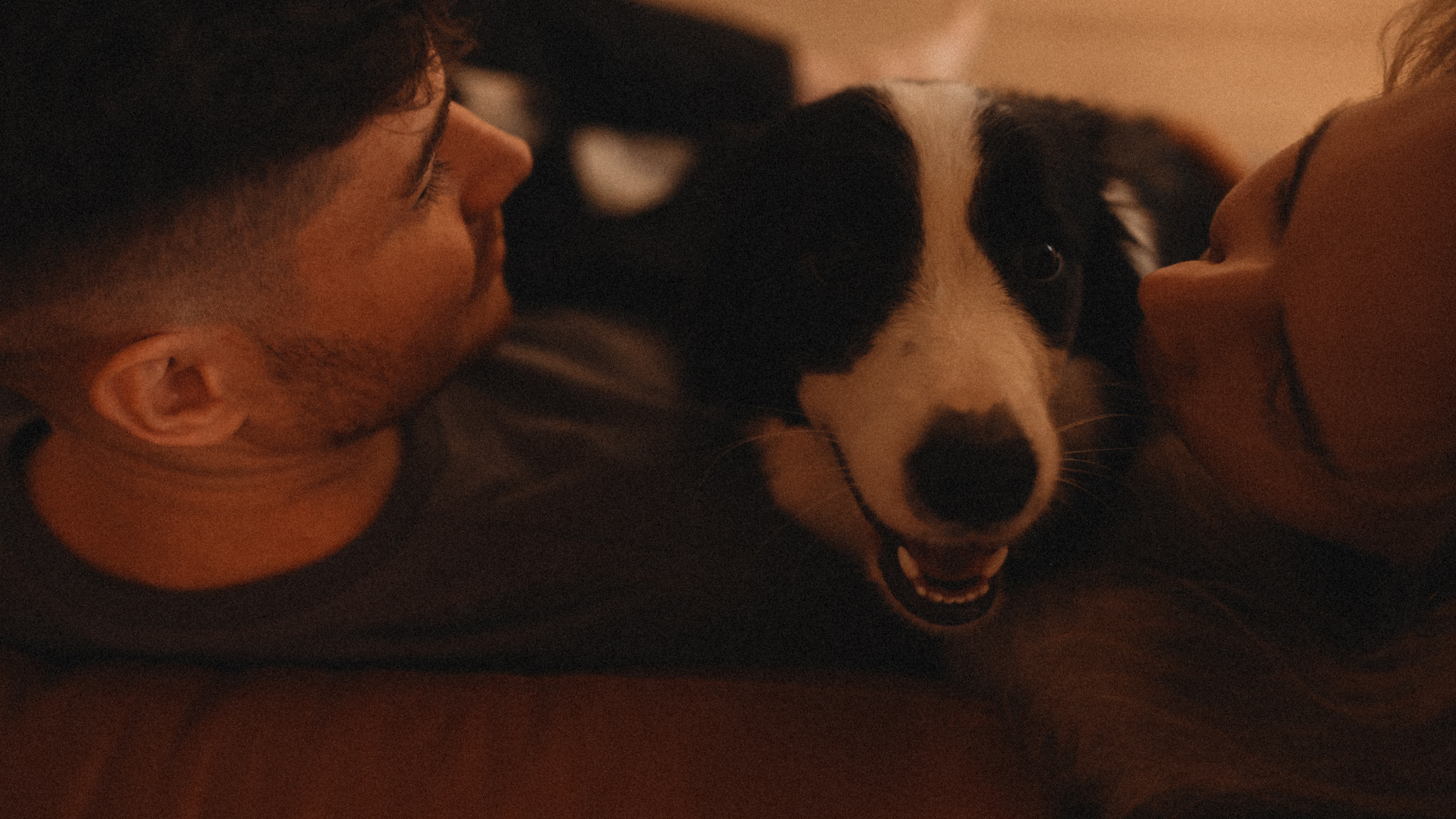 Stopani. Свадебный фотограф в Ярославле Илья Жуков