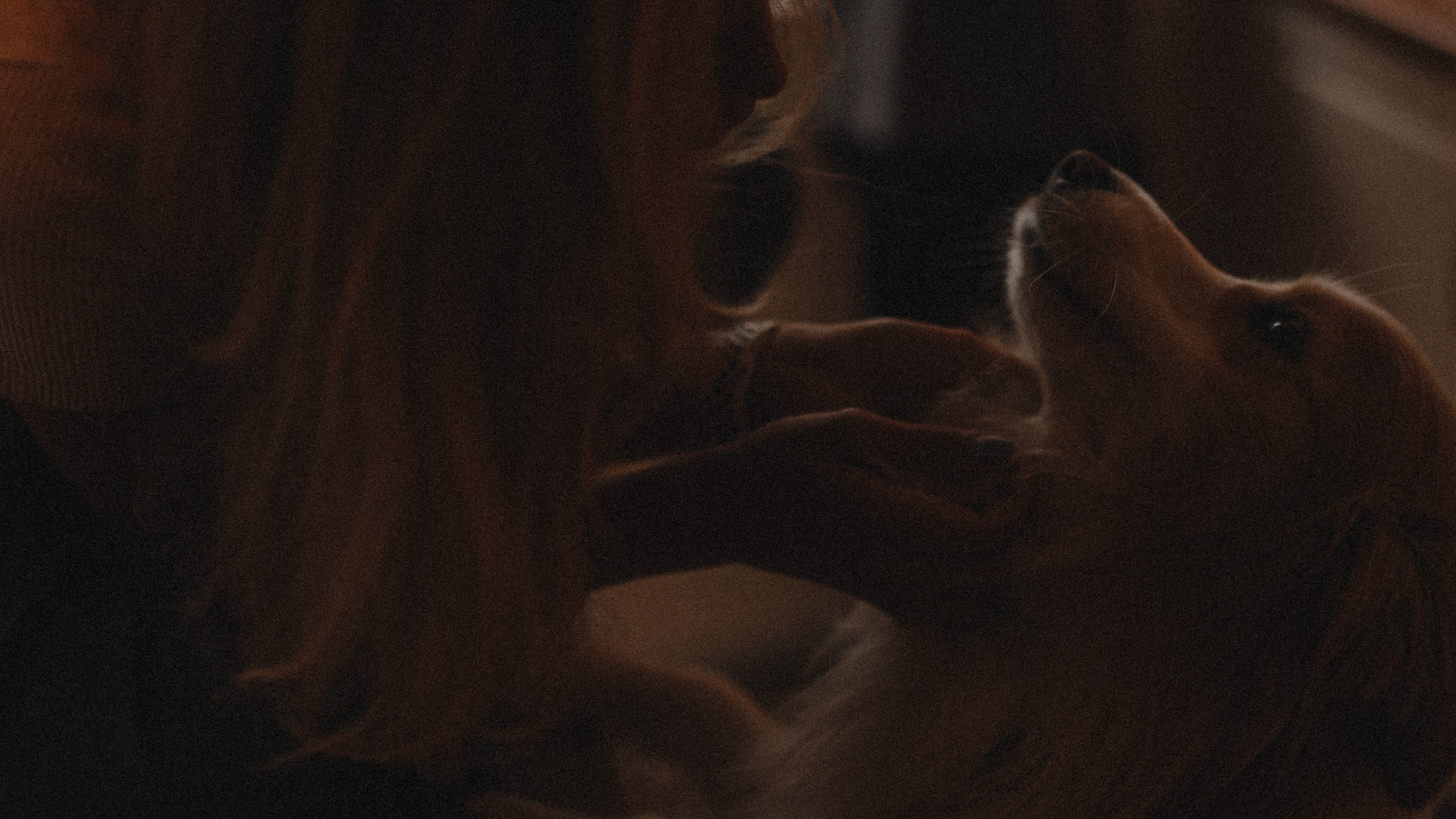 Stopani. Свадебный фотограф в Ярославле Илья Жуков