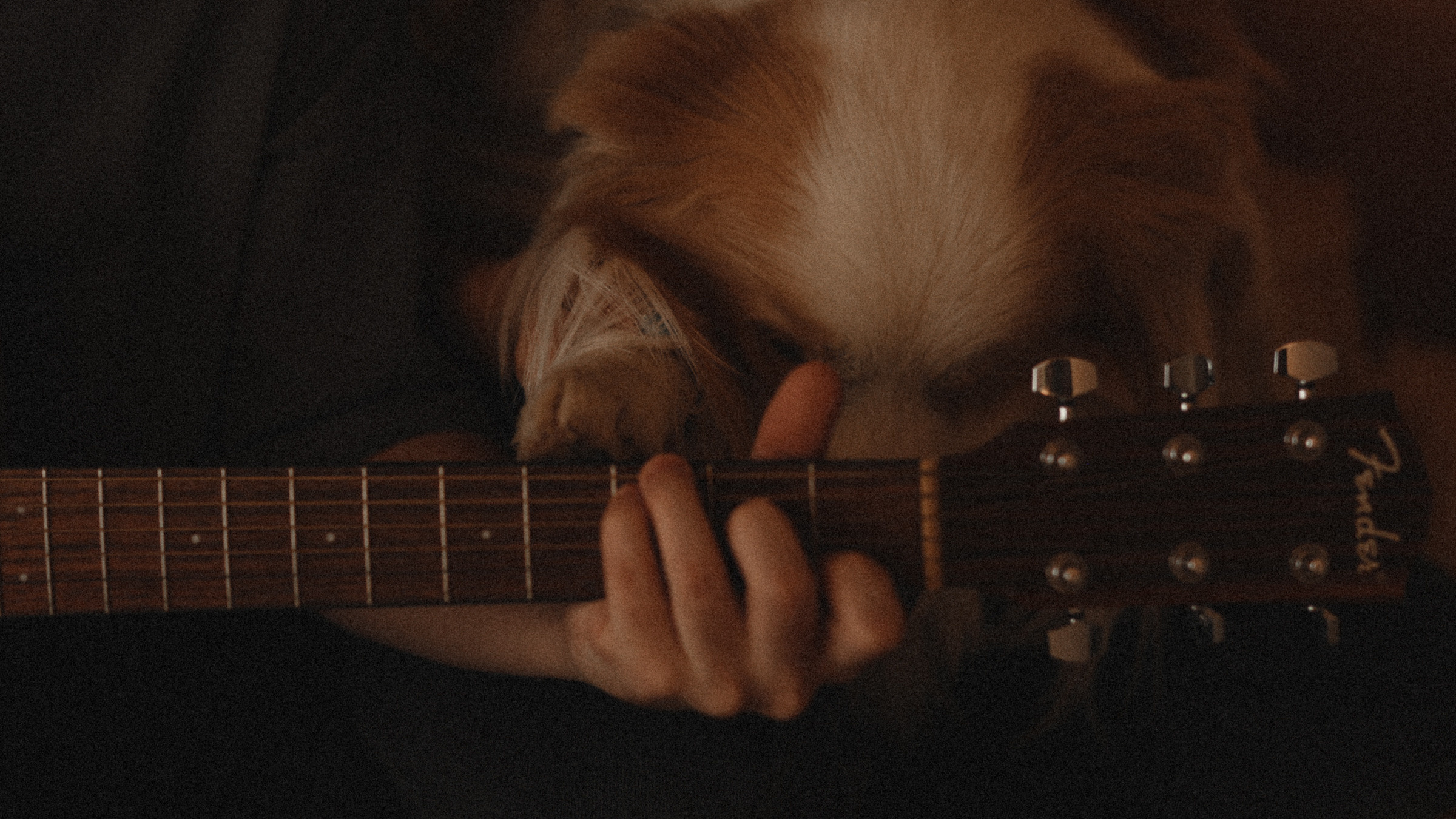 Stopani. Свадебный фотограф в Ярославле Илья Жуков