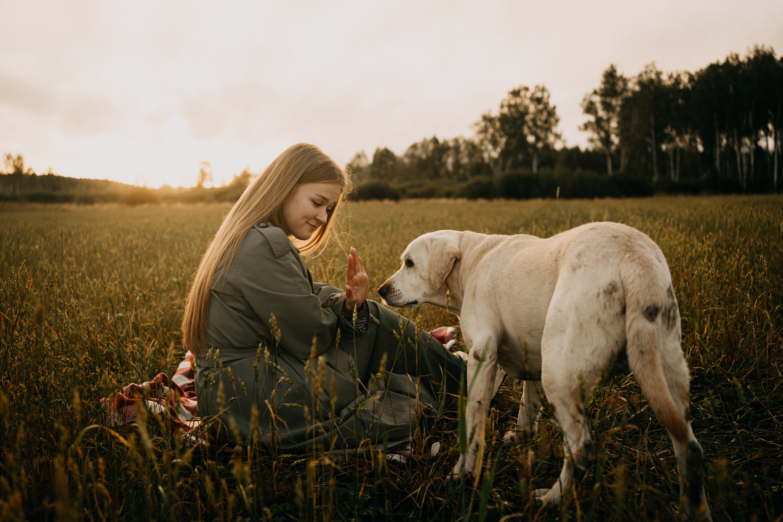 Дана и Арчи. Фотограф-анималист Анастасия Большакова