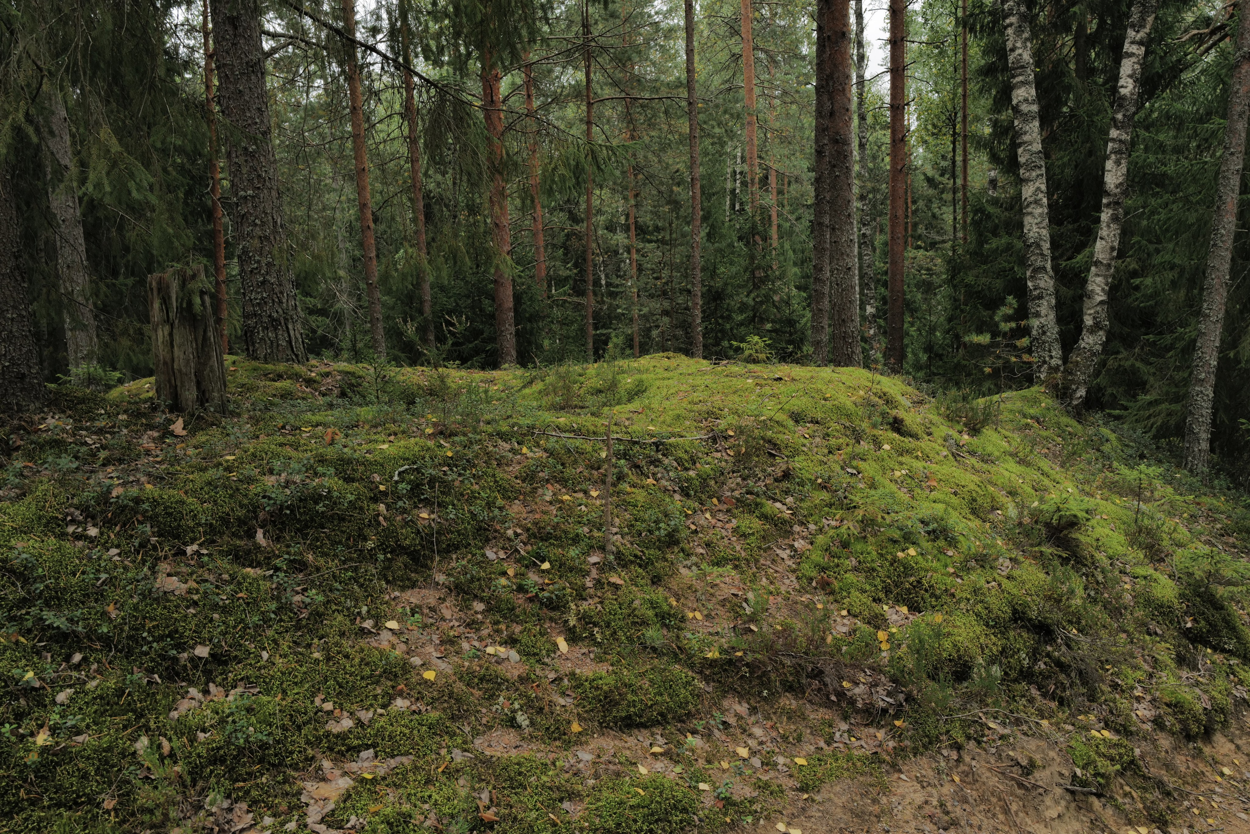 Творческий фотограф/видеограф в Астрахани Абушаев Ренат