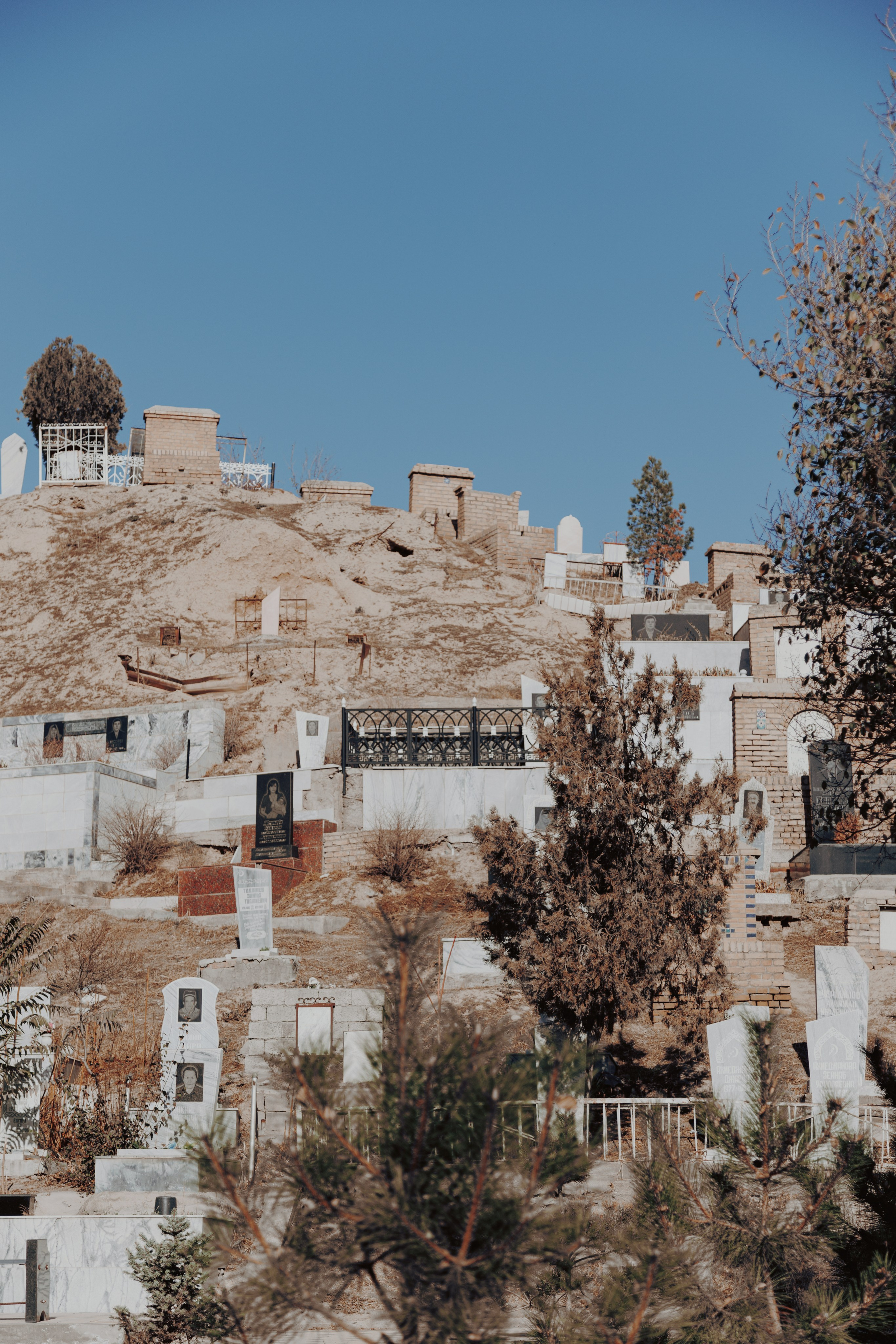 Узбекистан. Креатор Ольга Яш