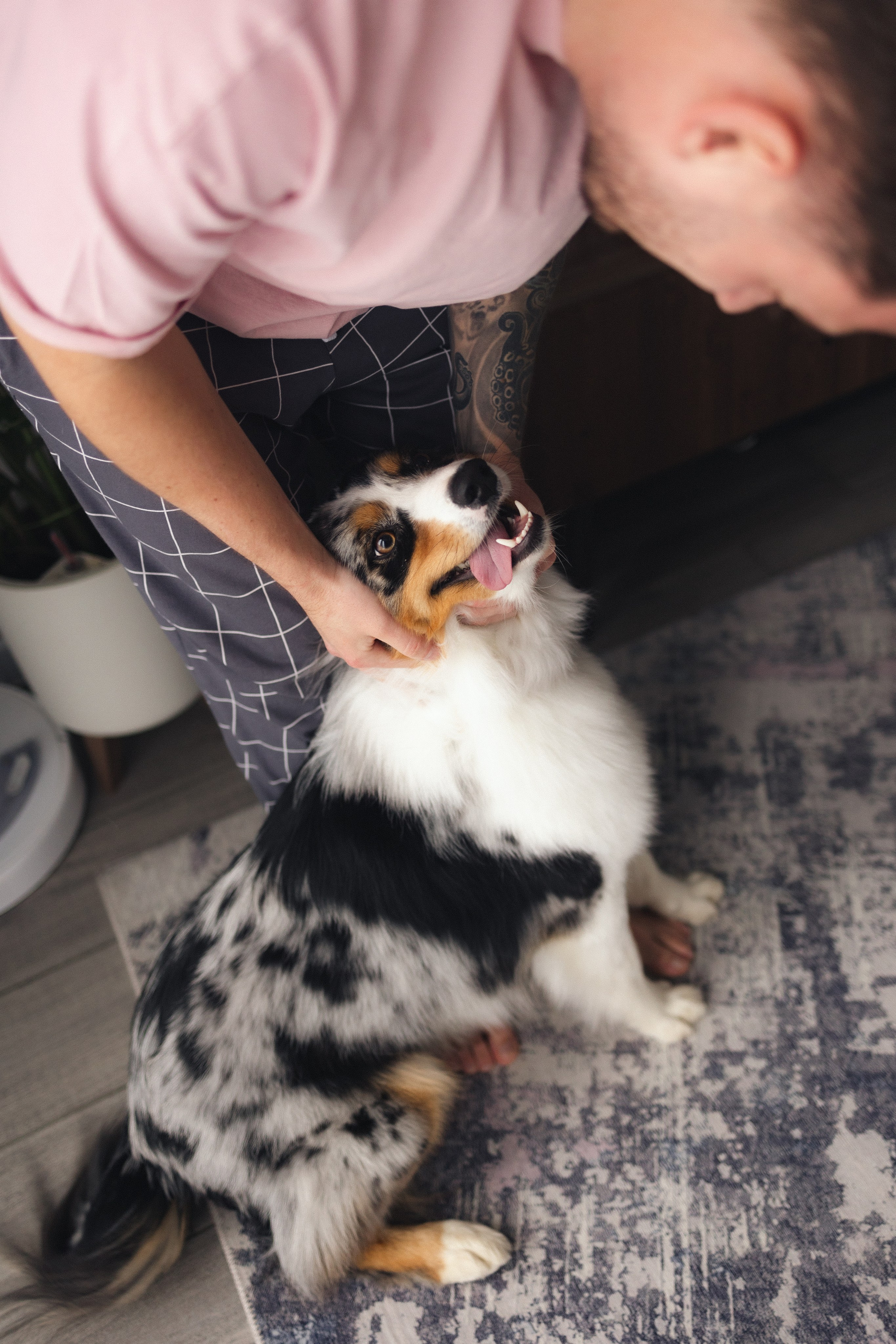 Появление брата. Фотограф из Петербурга