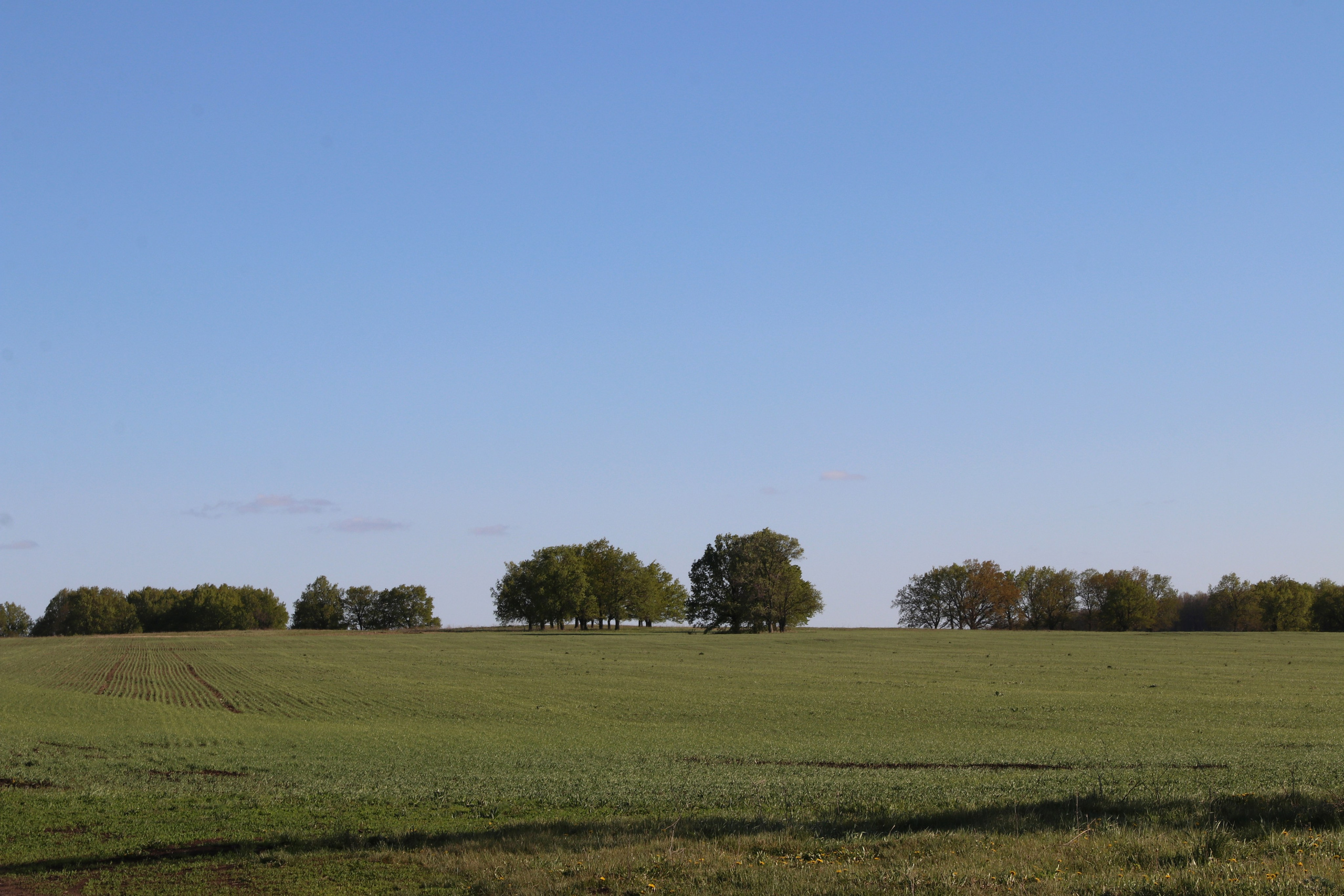 Велопоход Уфа — Мелеуз. Май 2024. Путешественник-фотограф из Санкт-Петербурга Татьяна Свистулина