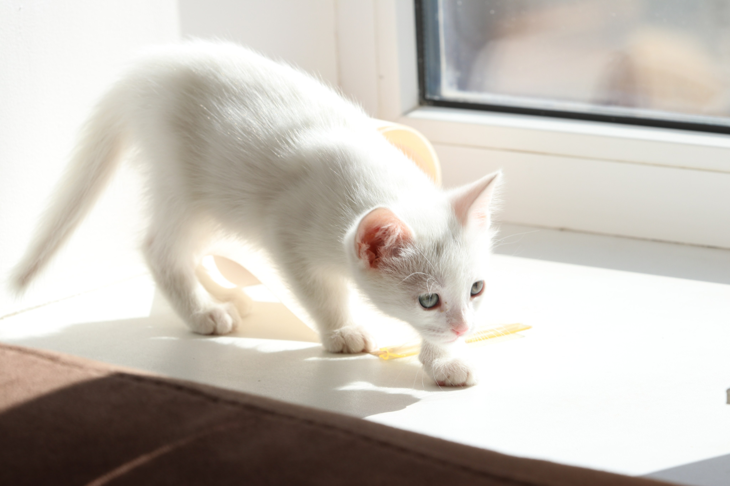 Приэльбрусье. Сентябрь 2023. Путешественник-фотограф из Санкт-Петербурга Татьяна Свистулина