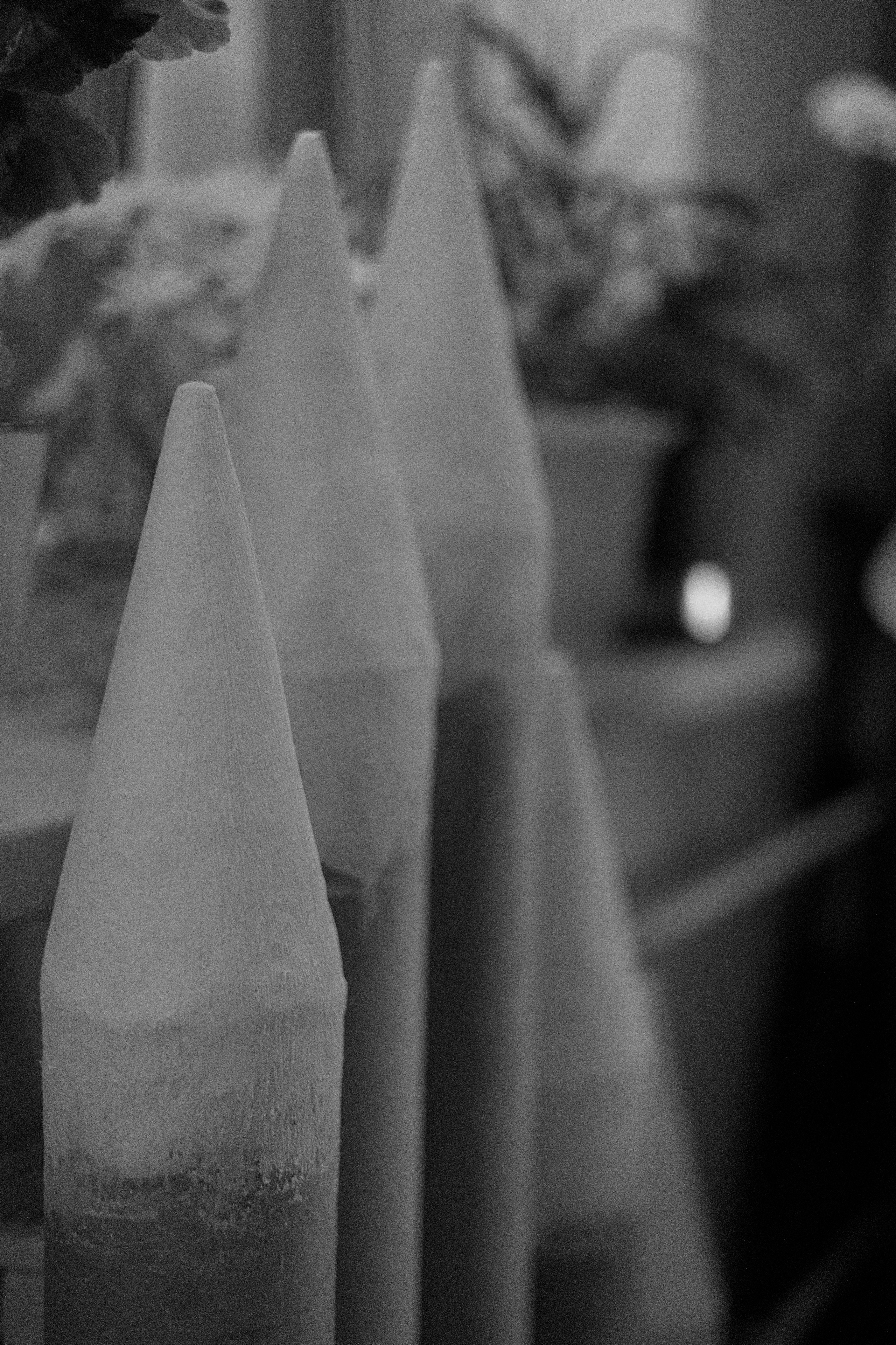 Проект «366»|2024|Фото каждый день. LENA GRACE photographer ||ЛЕНА ГРЭЙС фотограф