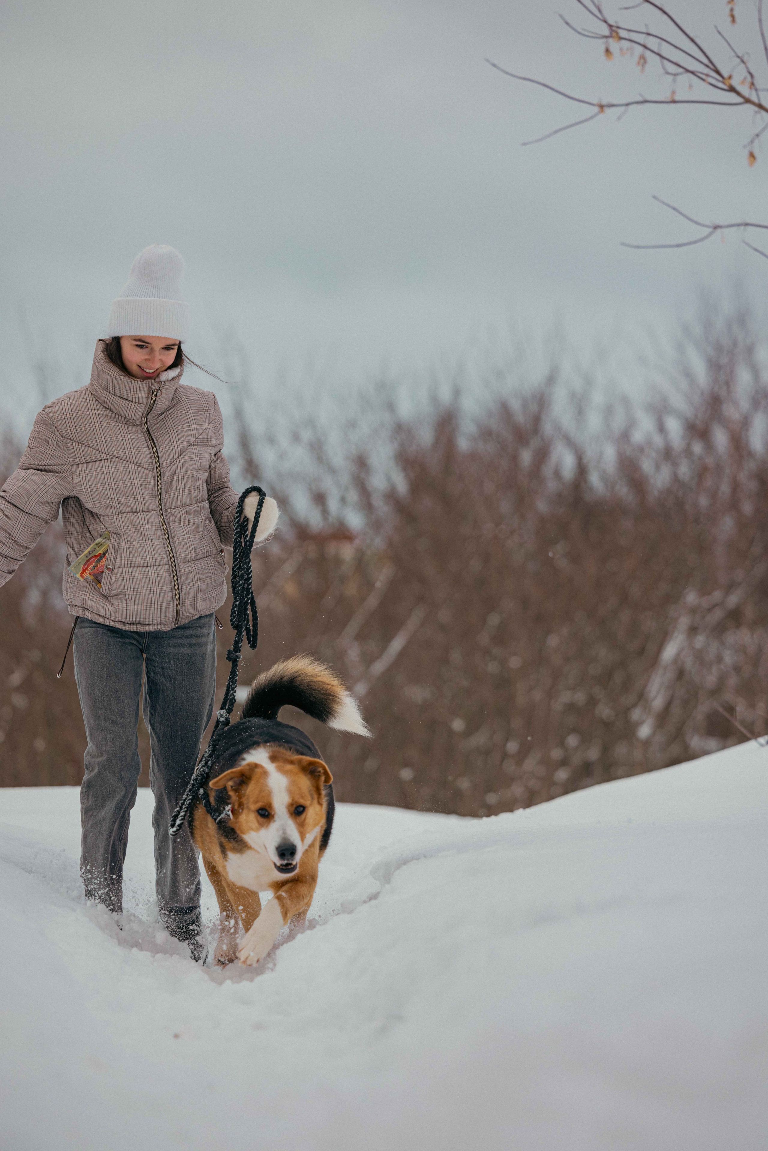 Петя. Фотограф-анималист в Москве Лера Черноног