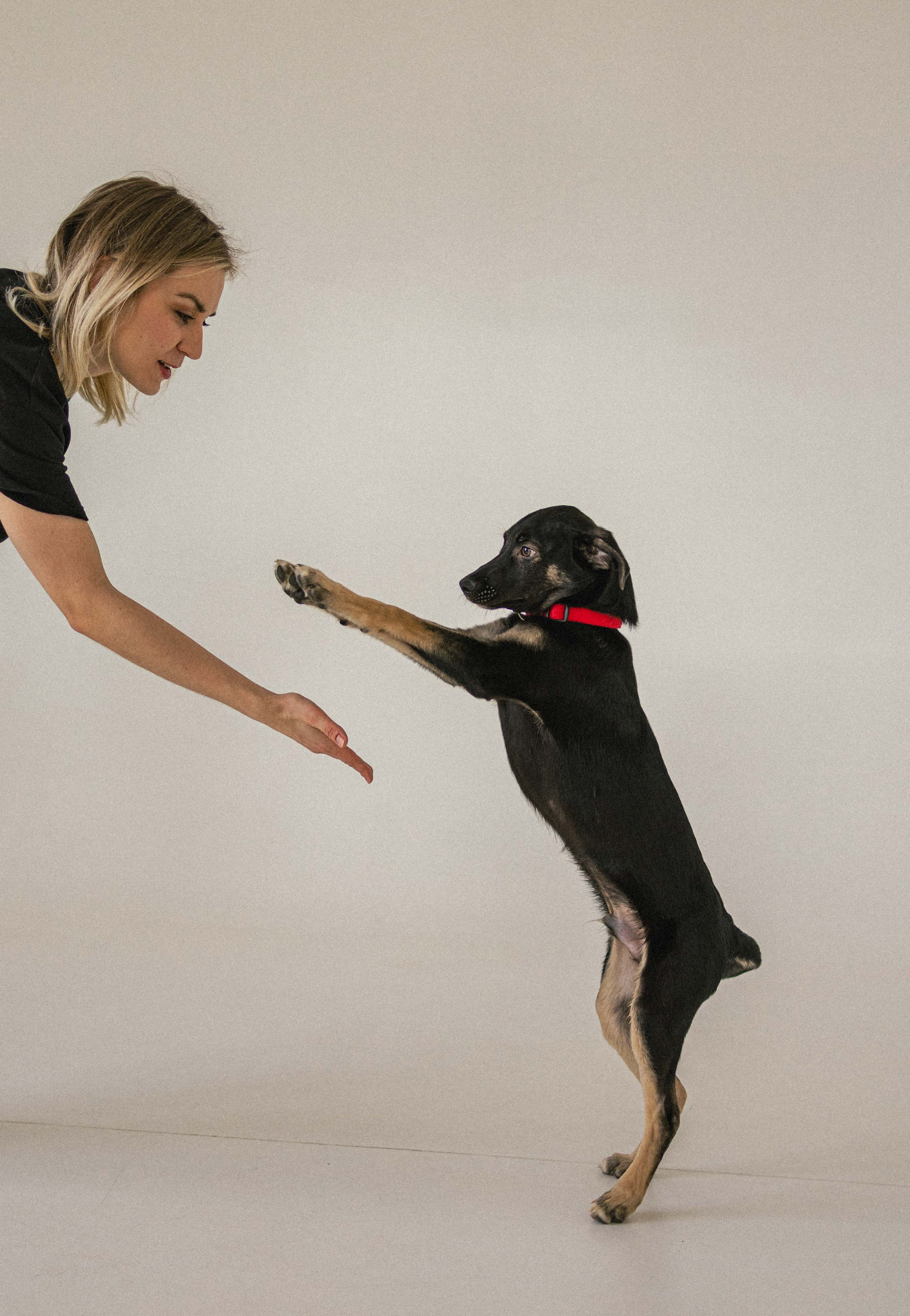 Крис и Тэдди. Фотограф-анималист в Москве Лера Черноног